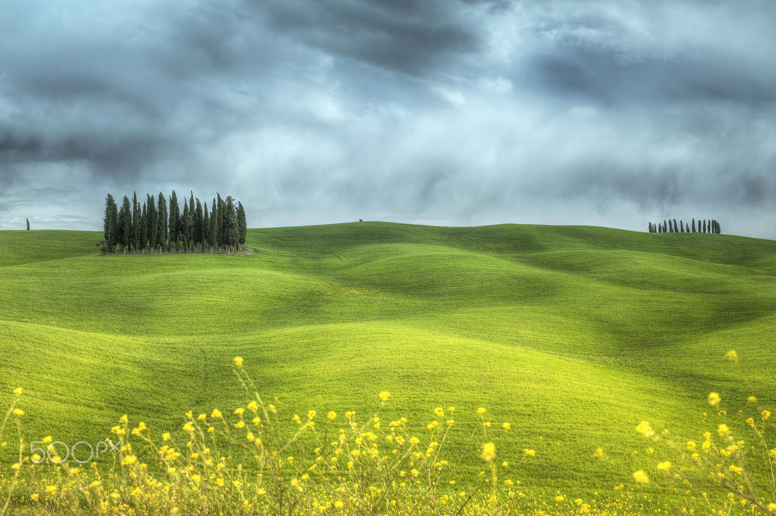 Nikon D3X + Nikon PC-E Nikkor 45mm F2.8D ED Tilt-Shift sample photo. Spring in tuscany photography