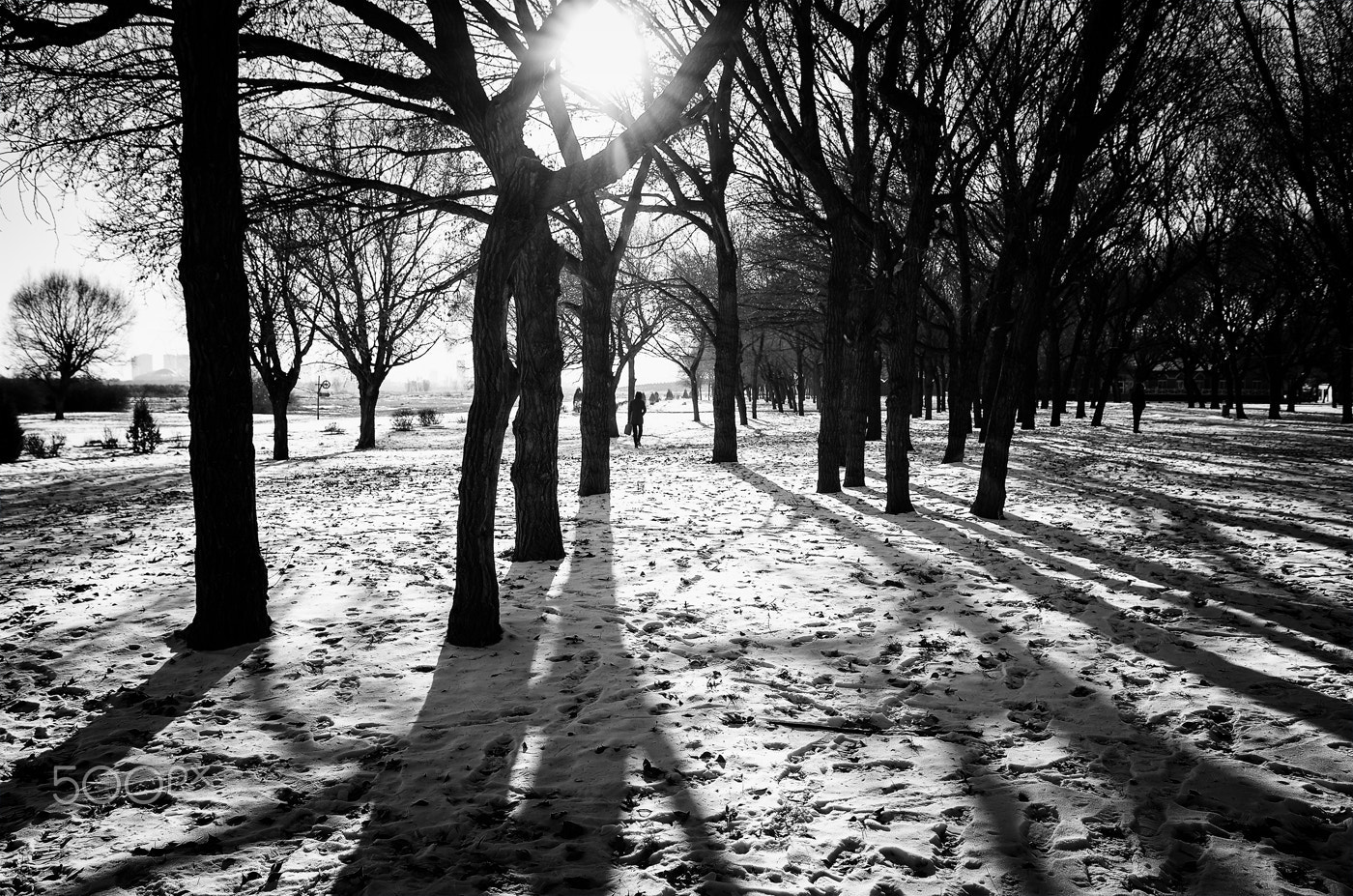 Pentax K-5 IIs sample photo. In the north photography