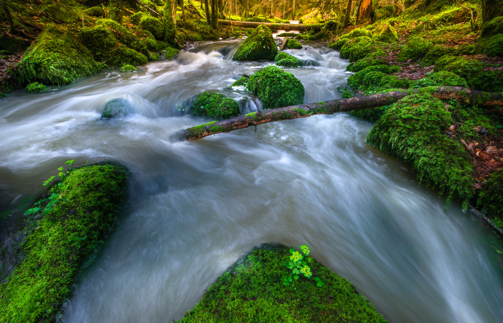 Sigma AF 10-20mm F4-5.6 EX DC sample photo. ~ against the current ~ photography