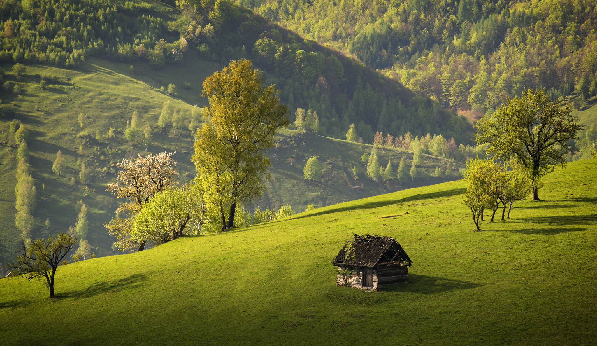 AF Zoom-Nikkor 80-200mm f/2.8 ED sample photo. Lonely hut photography