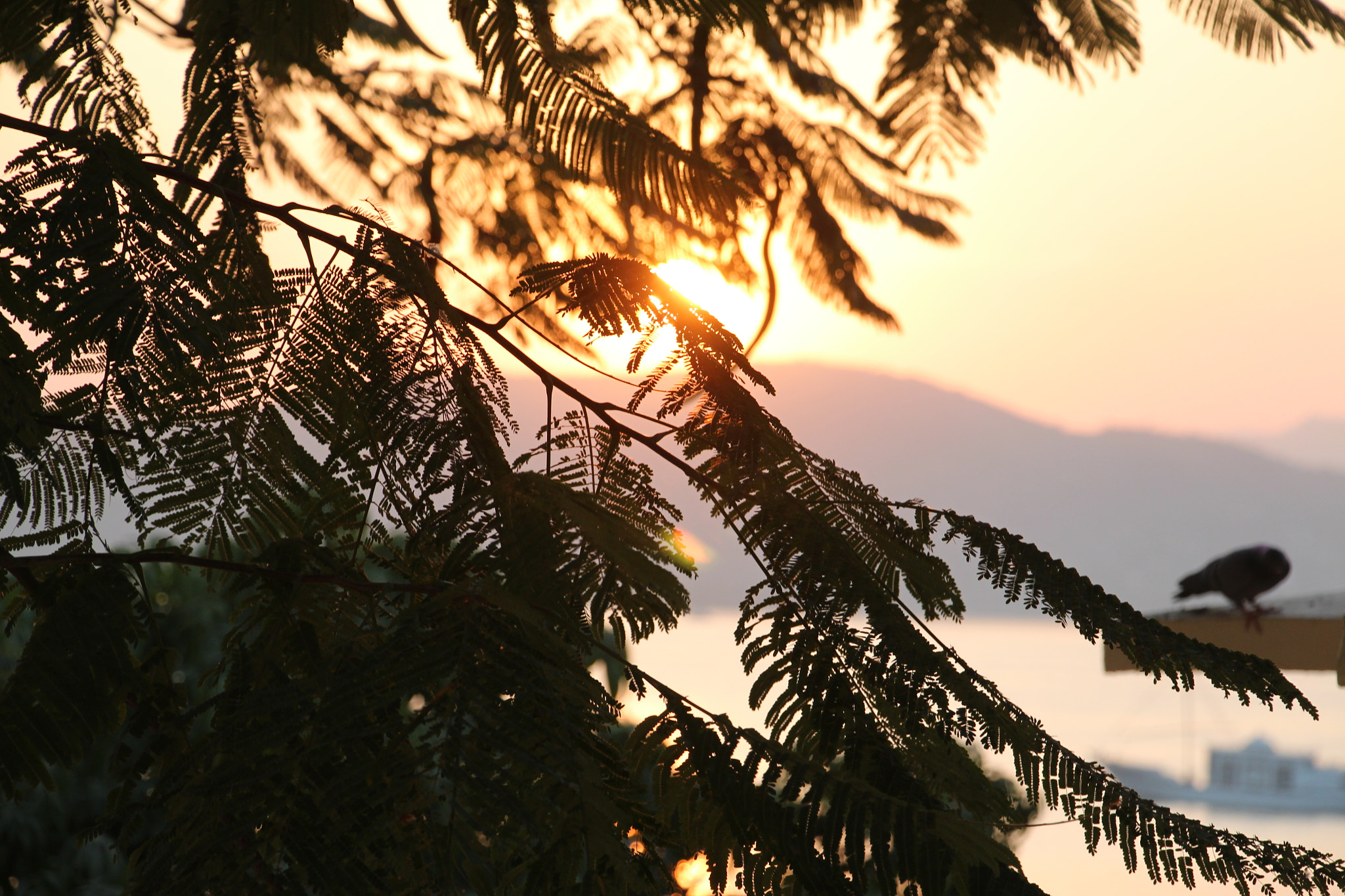 Canon EF 22-55mm f/4-5.6 USM sample photo. Udaipur sunsets photography