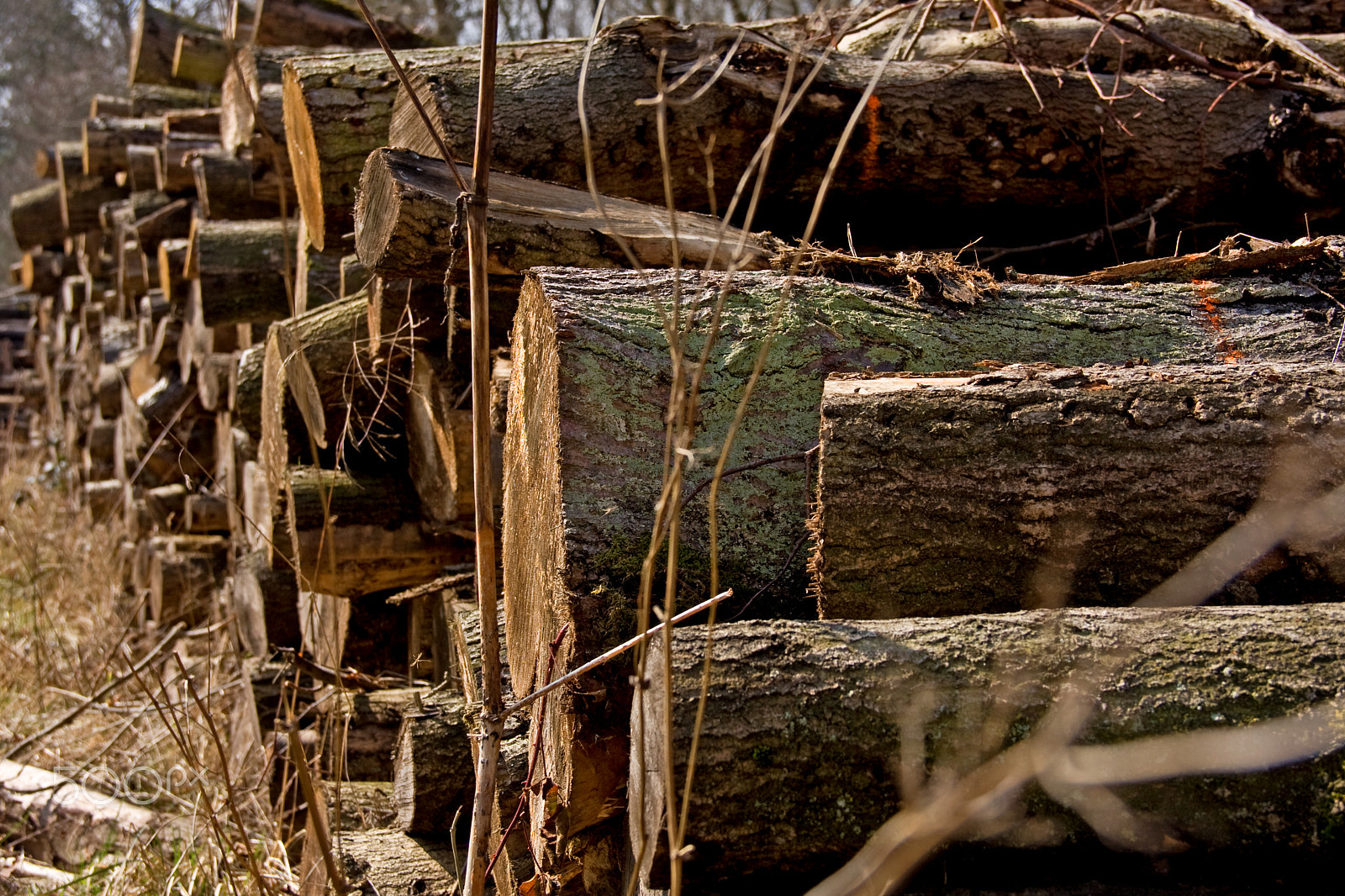 Canon EOS 40D sample photo. Lumber stack photography