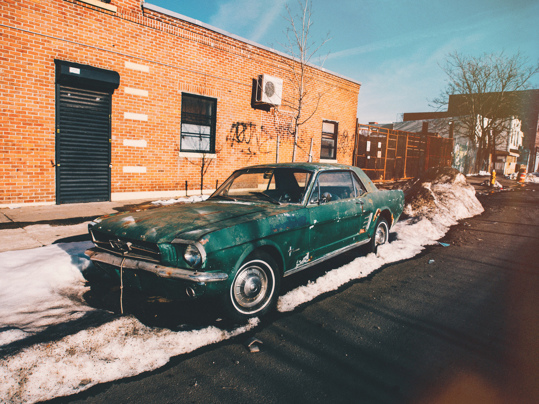 Panasonic Lumix DMC-G5 + OLYMPUS M.12-50mm F3.5-6.3 sample photo. A vintage mustang i came across while taking a walk in brooklyn. photography