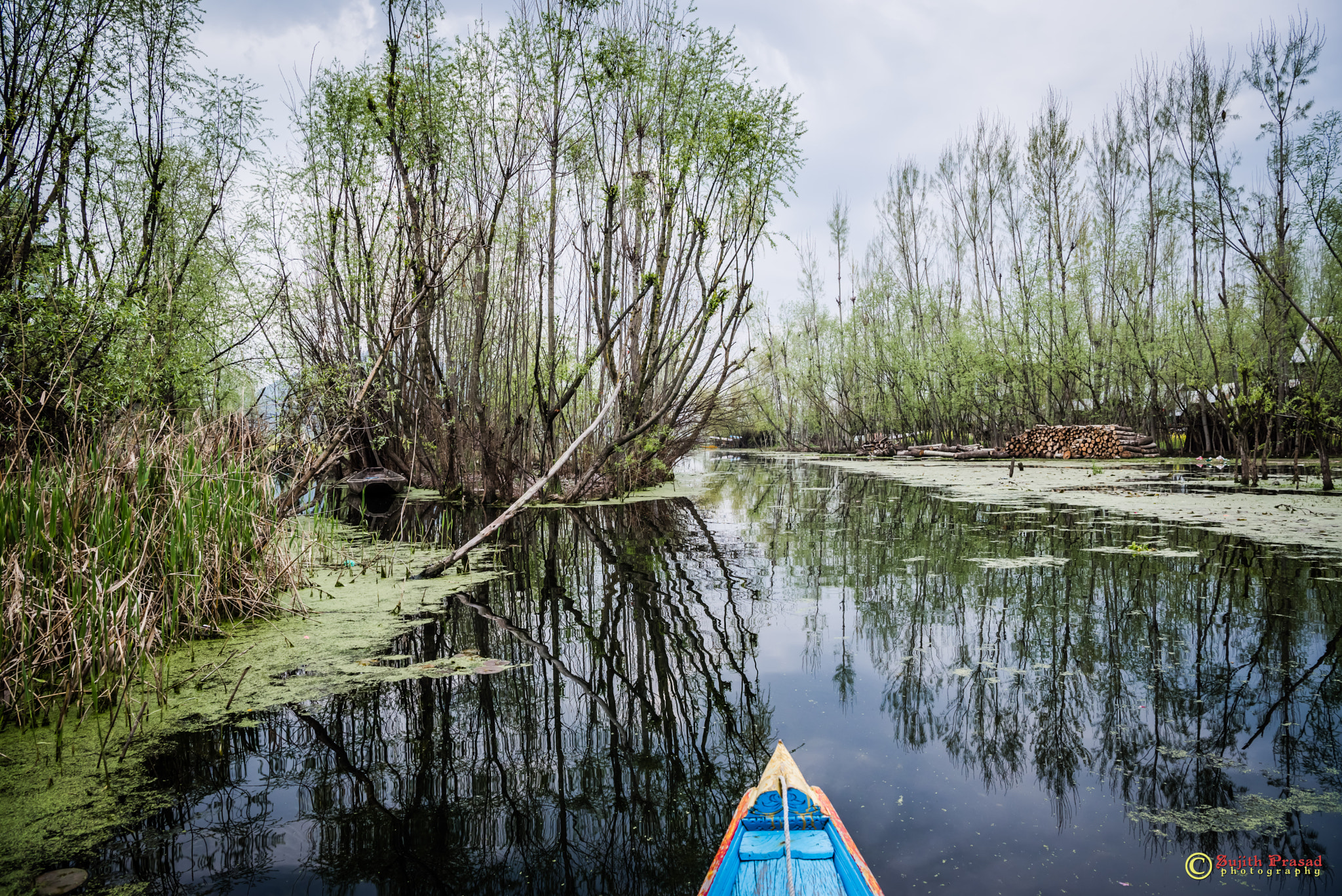 Nikon AF-S Nikkor 24-70mm F2.8E ED VR sample photo. Dsc_3729.jpg photography