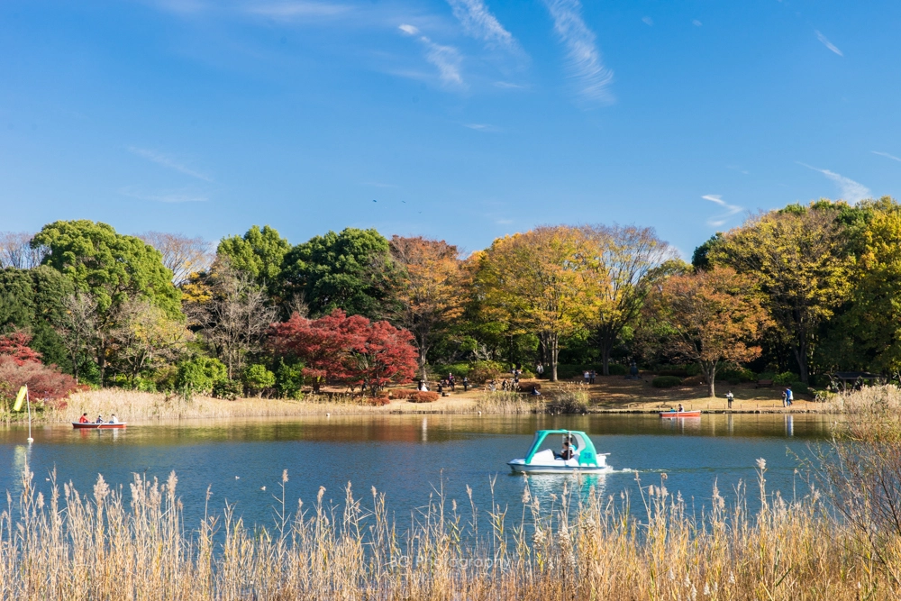 Sony a7 + Canon EF 85mm F1.2L II USM sample photo. 風景. photography