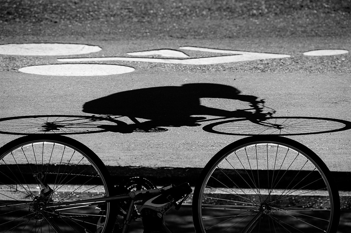 Nikon Nikkor AF-S 300mm F4E PF ED VR sample photo. B&w photography