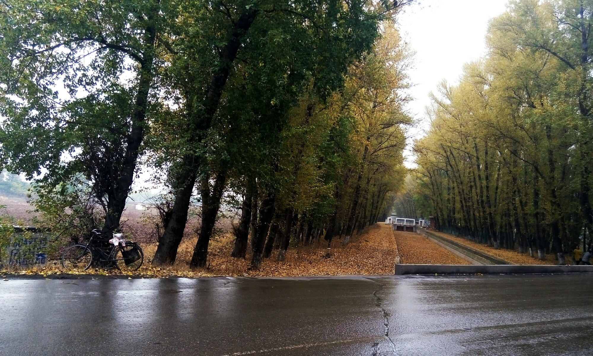 Meizu m1 sample photo. 渠上之秋 photography