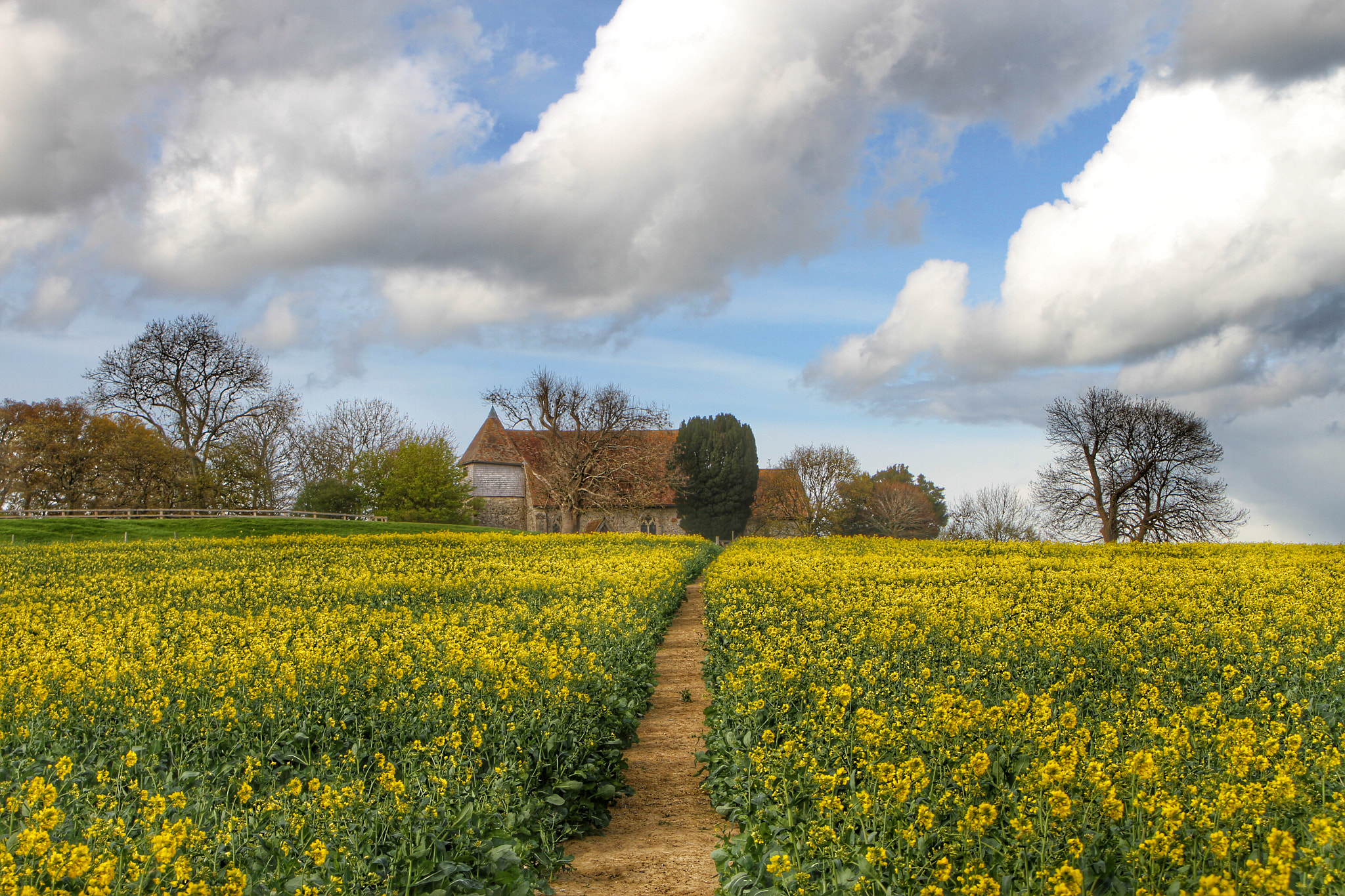 Canon EOS 7D + Canon 18-270mm sample photo. "pathway to heaven" photography