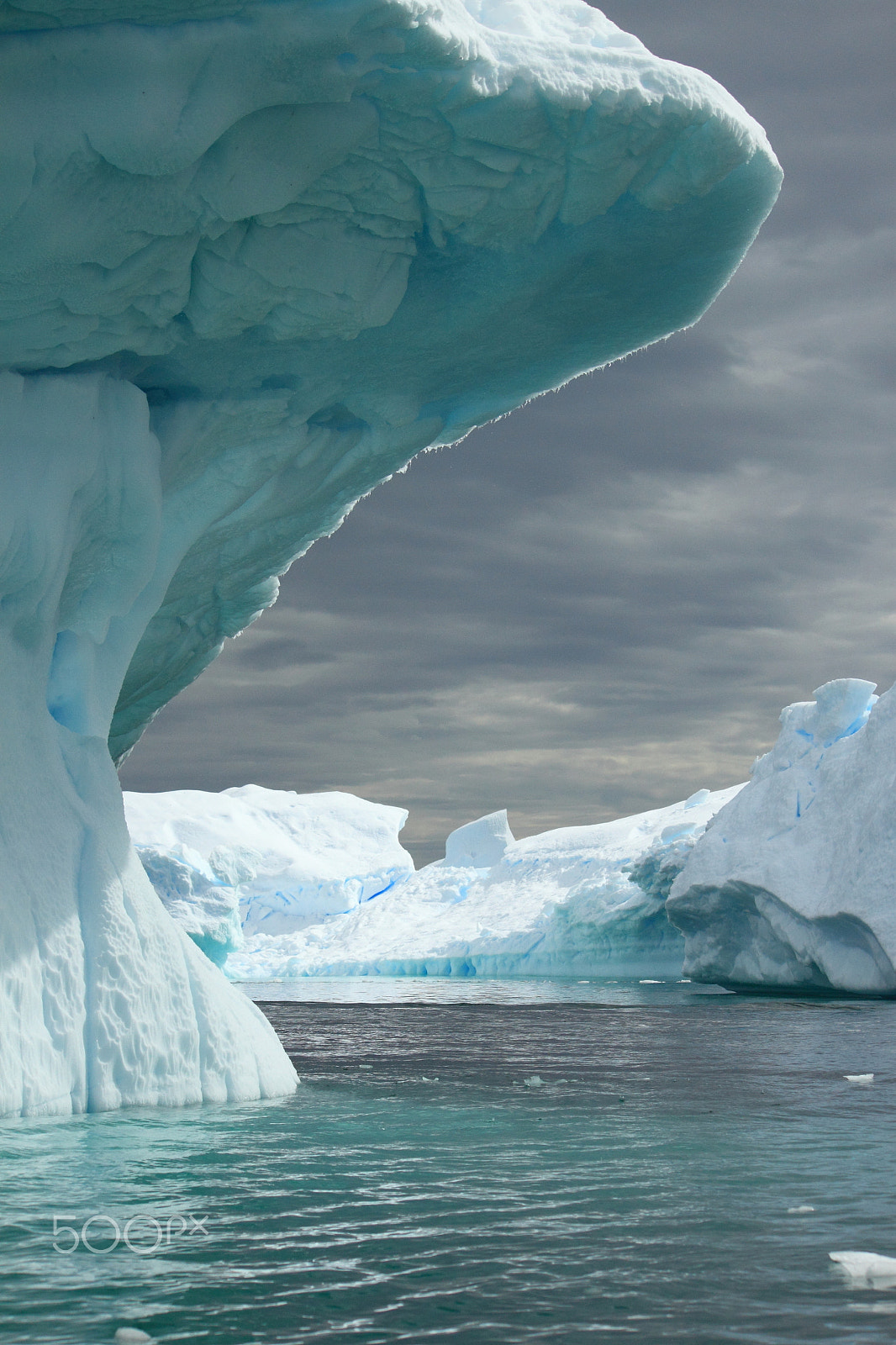 Canon EF-S 55-250mm F4-5.6 IS sample photo. Antarctica photography