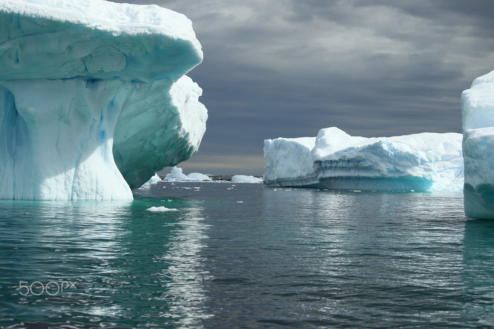 Canon EF-S 55-250mm F4-5.6 IS sample photo. Antarctica photography