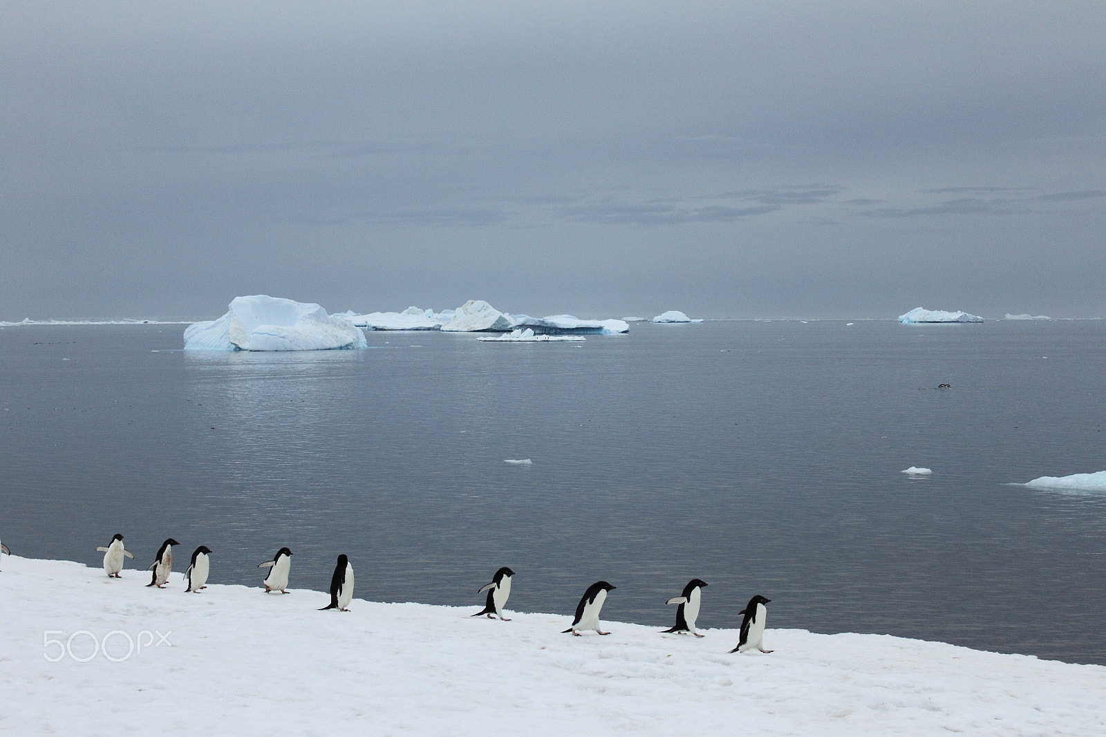 Canon EF-S 18-55mm F3.5-5.6 IS sample photo. Antarctica photography
