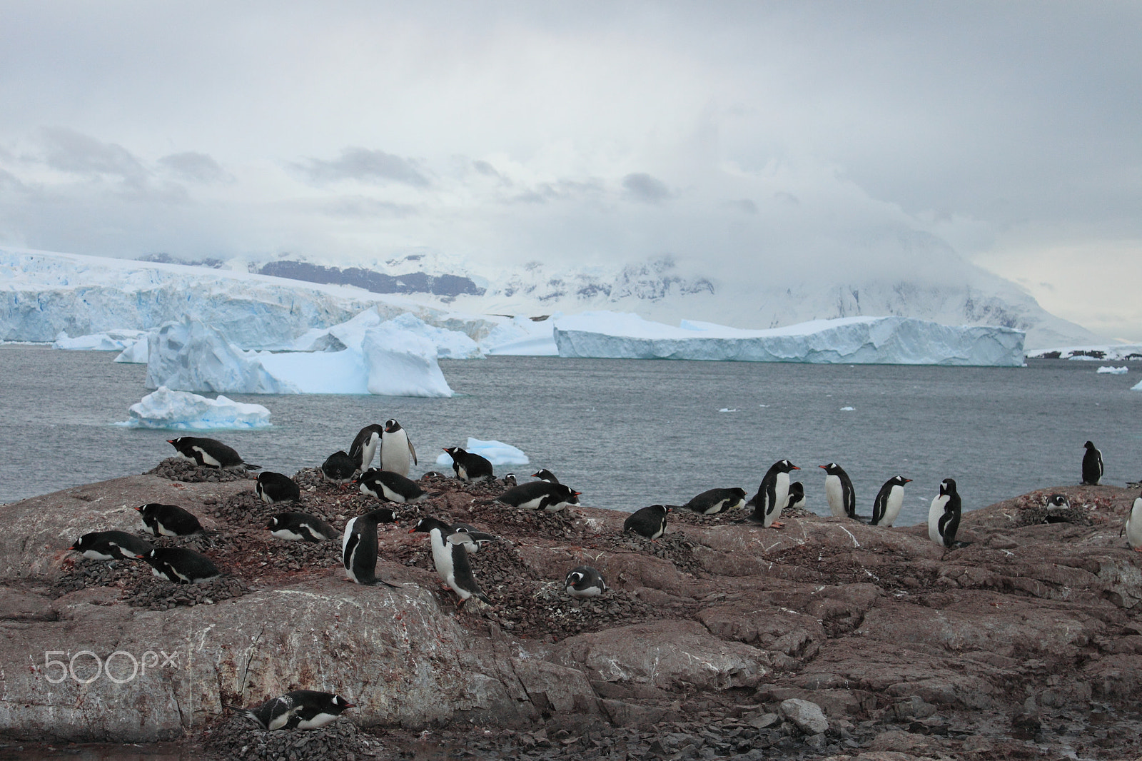 Canon EF-S 18-55mm F3.5-5.6 IS sample photo. Antarctica photography