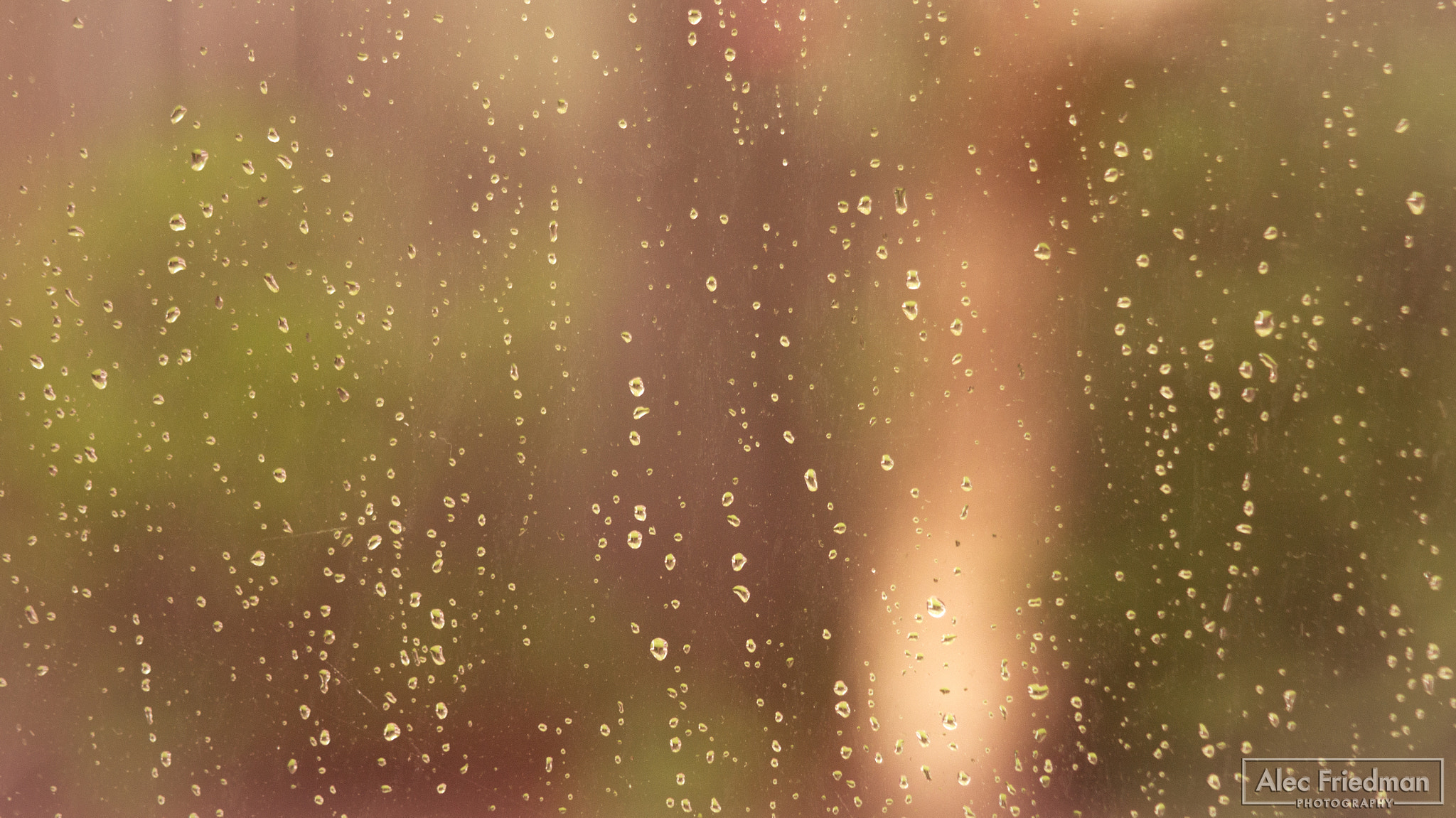 Minolta AF 100-300mm F4.5-5.6 sample photo. Raindrops photography