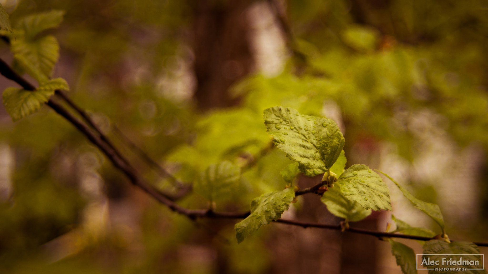 Minolta AF 35-80mm F4-5.6 sample photo. Reaching out photography