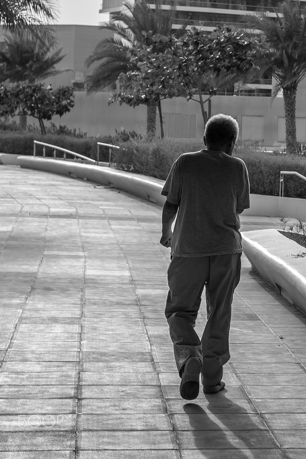 Canon EOS 650D (EOS Rebel T4i / EOS Kiss X6i) sample photo. Out for a walk photography