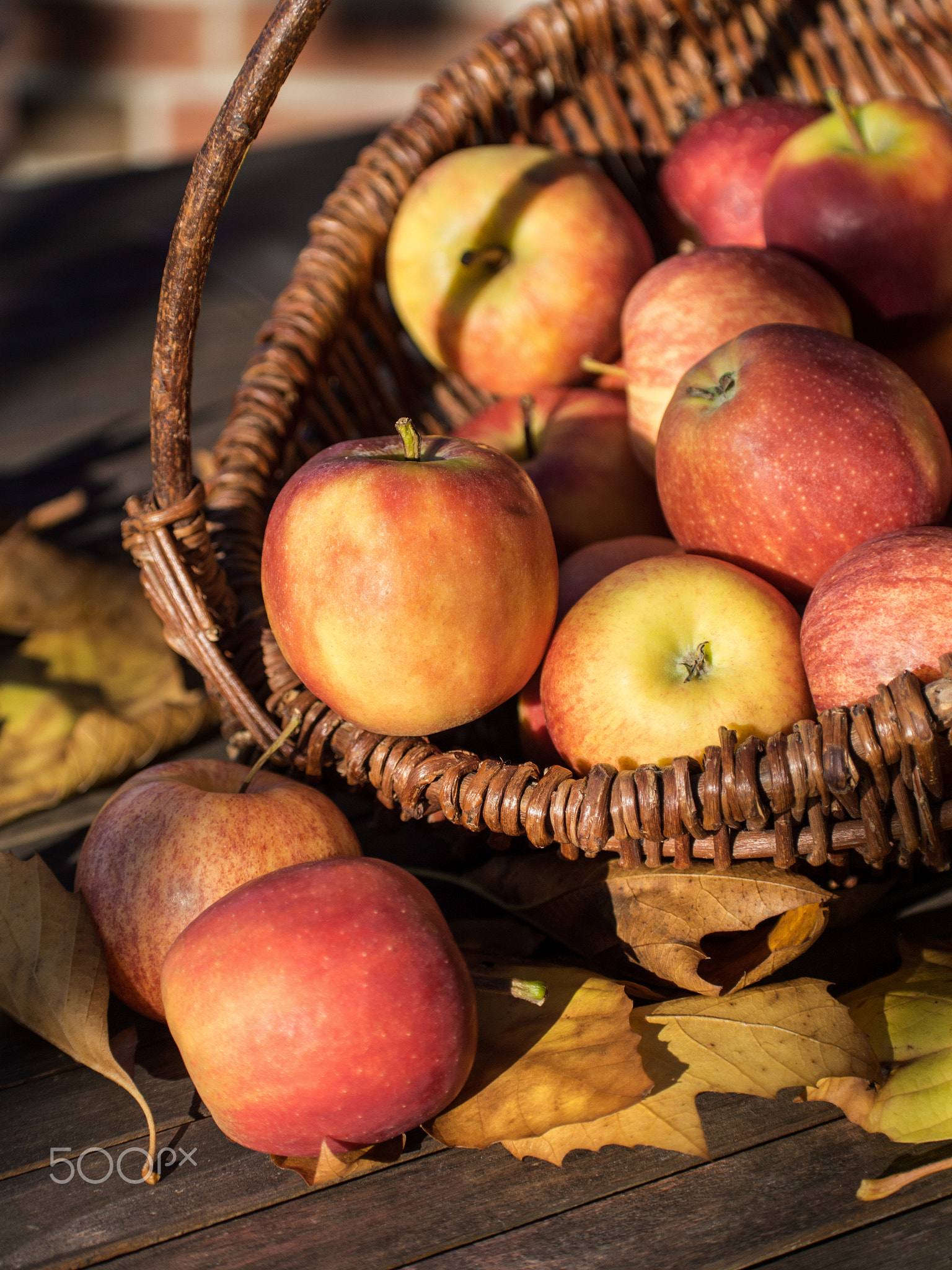 apple picking