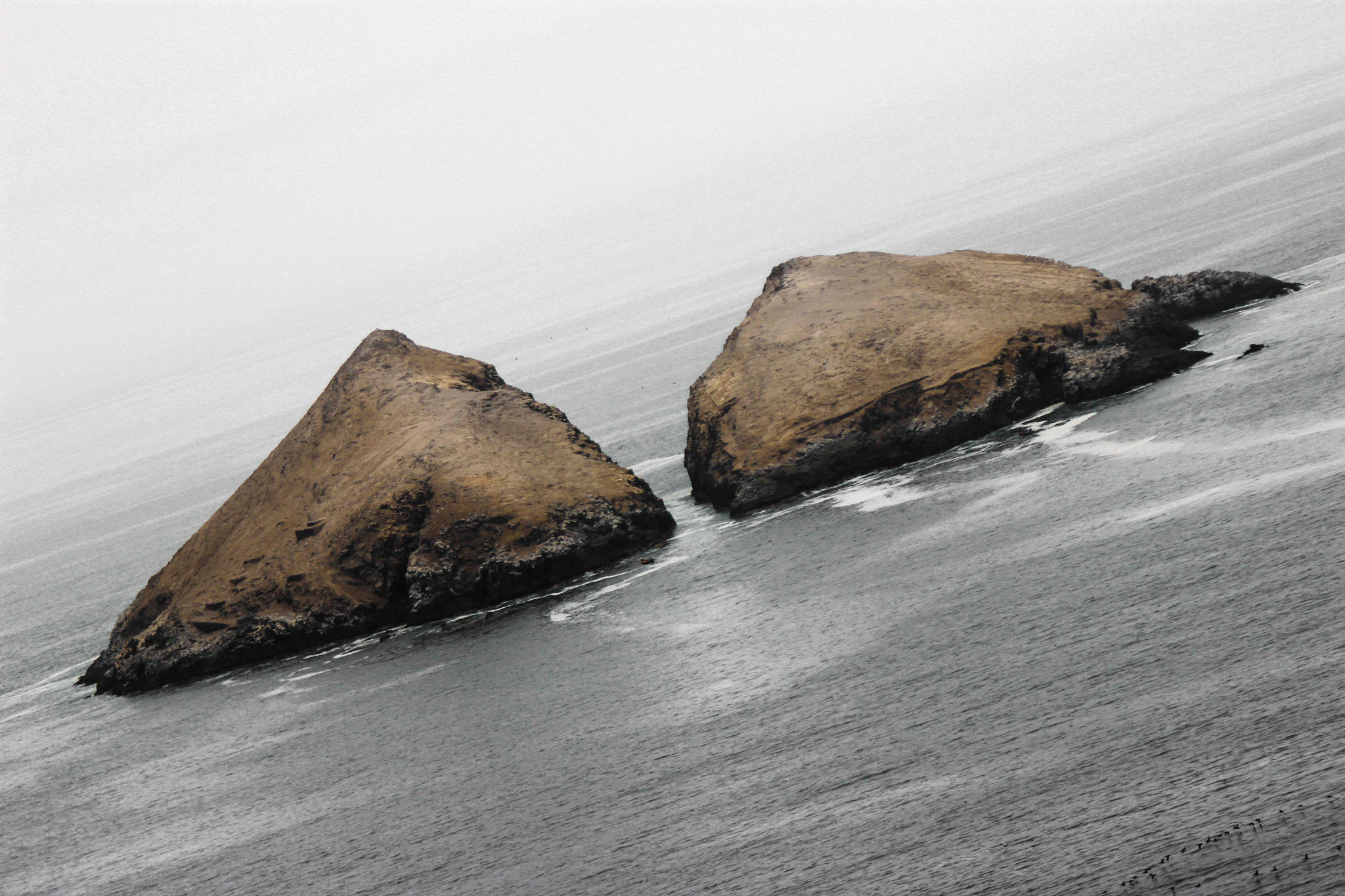 Canon EF 28-90mm f/4-5.6 sample photo. Motion photography