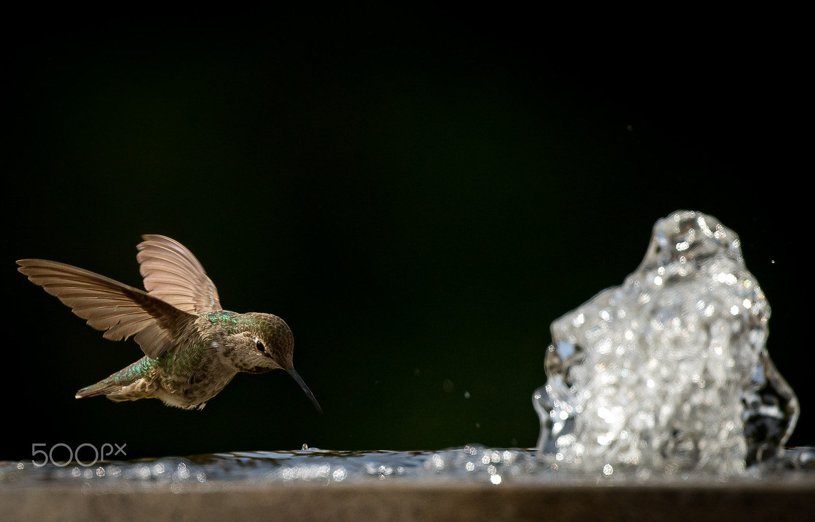 Canon EF 400mm F4 DO IS II USM sample photo. Hummingbird bath photography