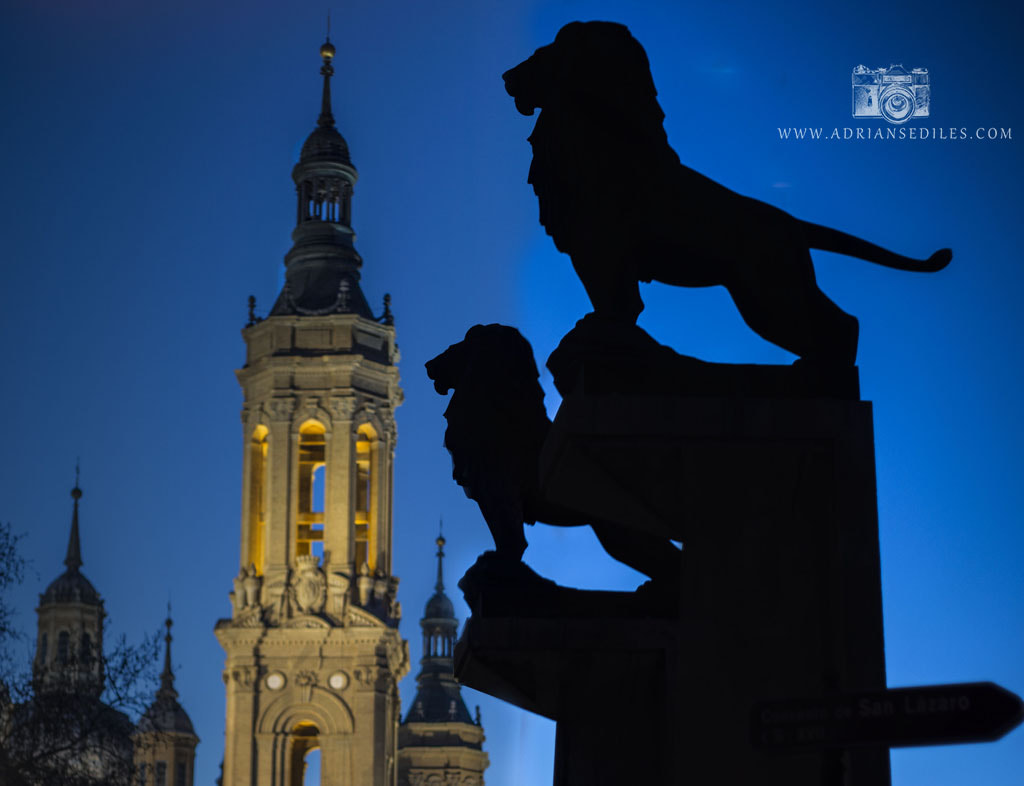 Sony a5100 + Sony DT 50mm F1.8 SAM sample photo. Leones puende de piedra en zaragoza - adrián sediles embi photography