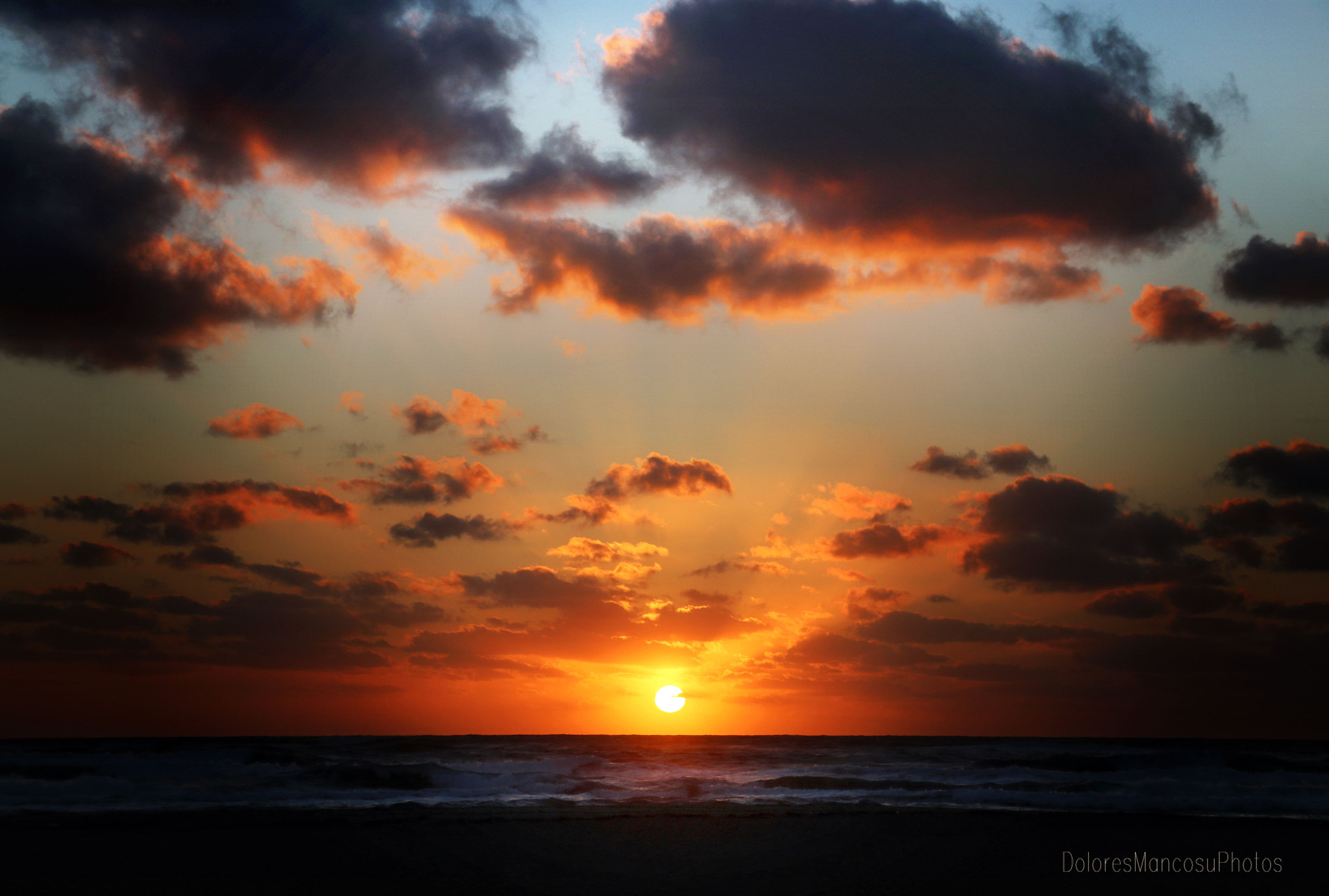 Canon EF-S 18-135mm F3.5-5.6 IS STM sample photo. Fuego photography