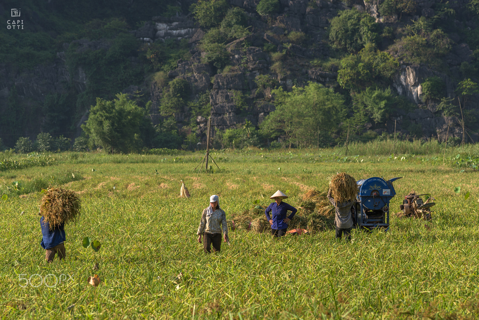 Nikon D810 + AF Nikkor 180mm f/2.8 IF-ED sample photo. Ninh binh photography