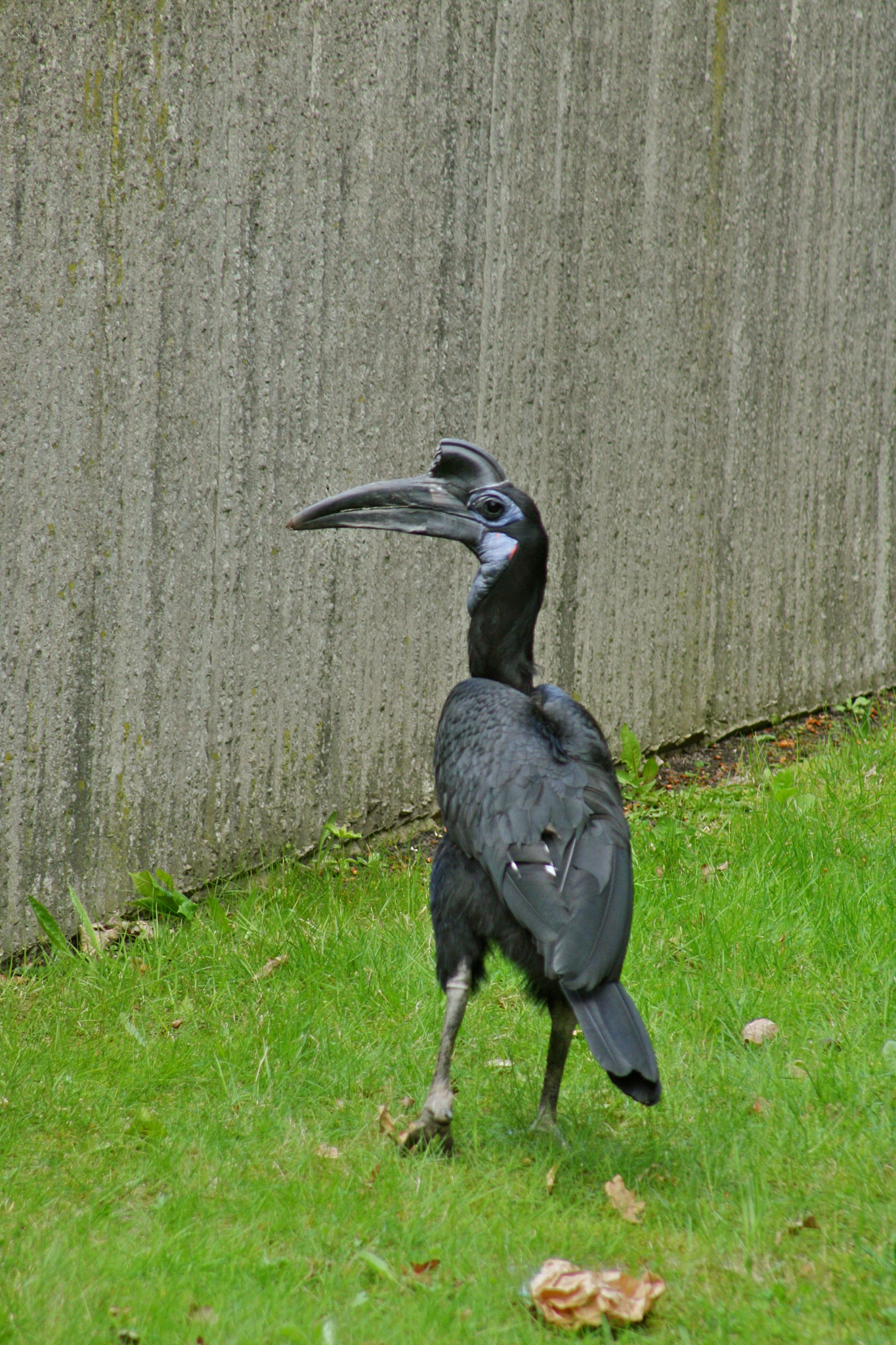 Canon EF 75-300mm f/4-5.6 USM sample photo. Zoologischer garten berlin photography