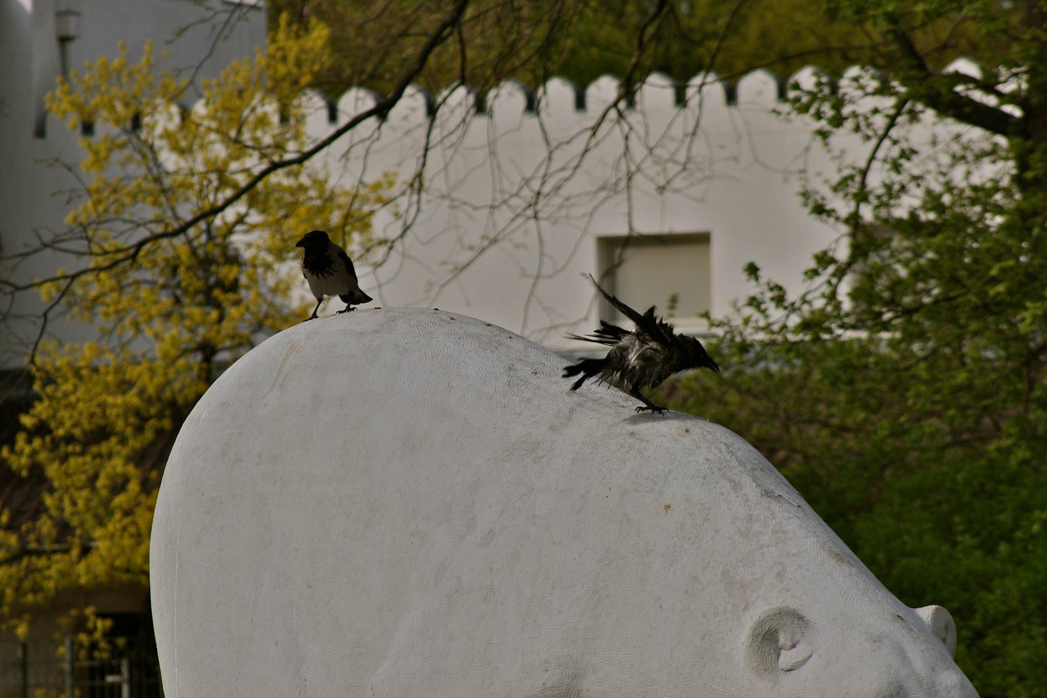 Canon EF 75-300mm f/4-5.6 USM sample photo. Zoologischer garten berlin photography