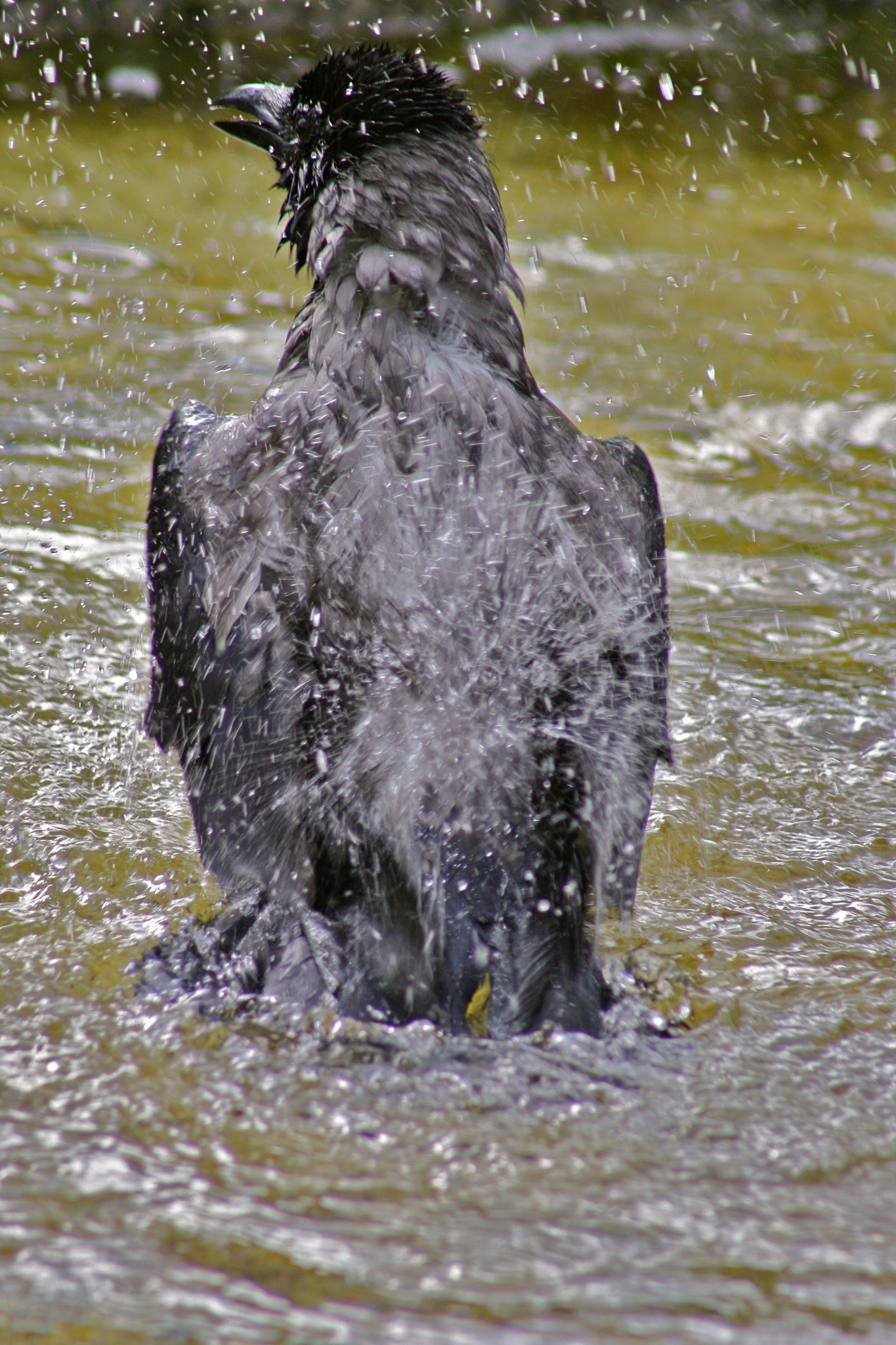 Canon EF 75-300mm f/4-5.6 USM sample photo. Zoologischer garten berlin photography