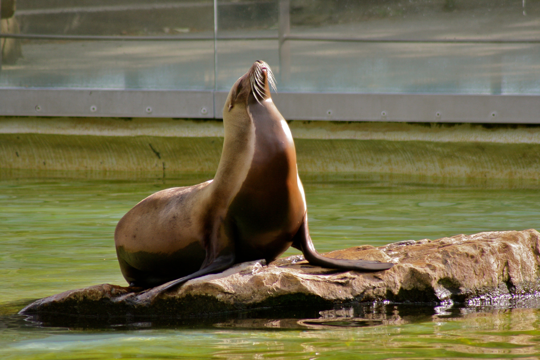 Canon EF 75-300mm f/4-5.6 USM sample photo. Zoologischer garten berlin photography