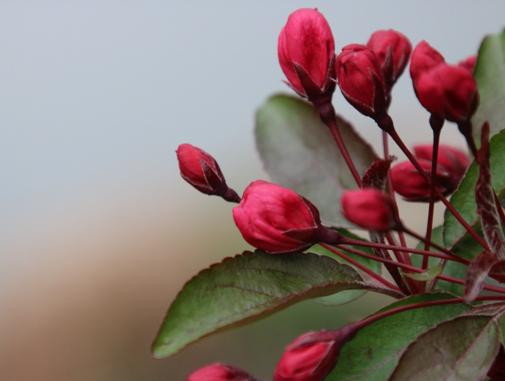 Canon EOS 760D (EOS Rebel T6s / EOS 8000D) sample photo