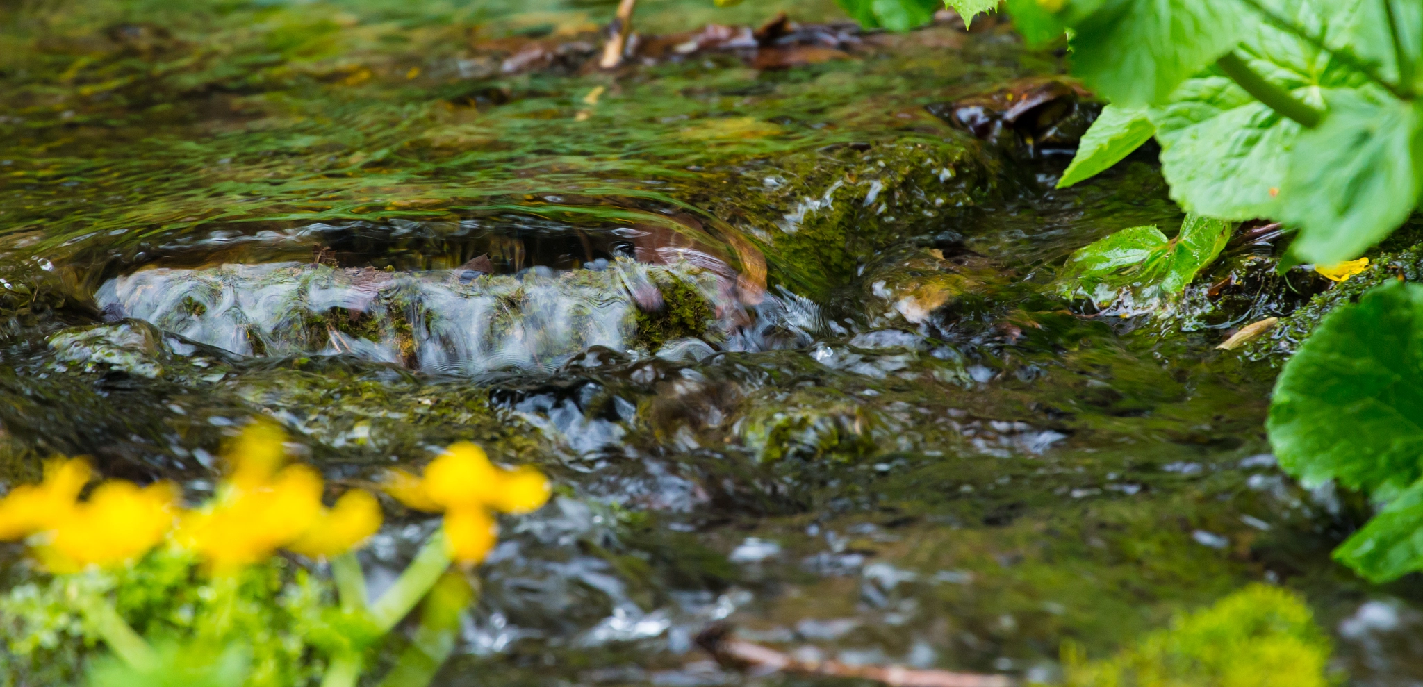Canon EF 70-300mm F4-5.6L IS USM sample photo. Flowing photography