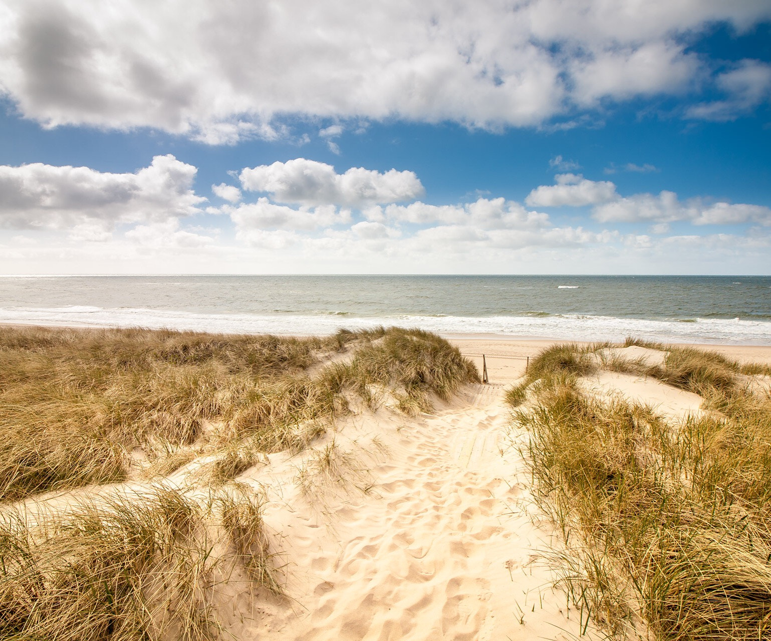 Canon EF-S 10-18mm F4.5–5.6 IS STM sample photo. Trail to the beach photography