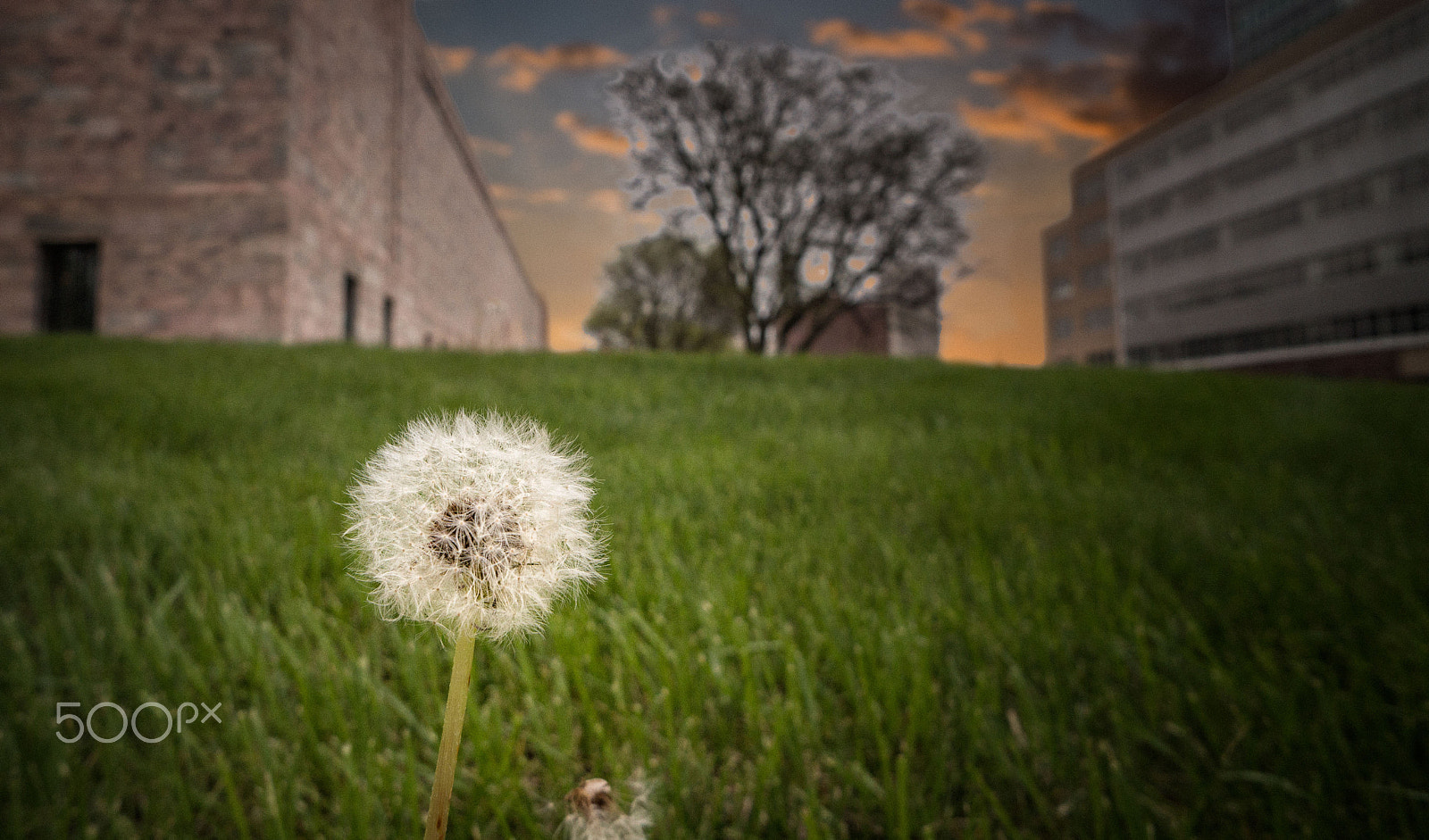 Sony Alpha NEX-3N + Sony E 16mm F2.8 sample photo. Joslyn art museum photography