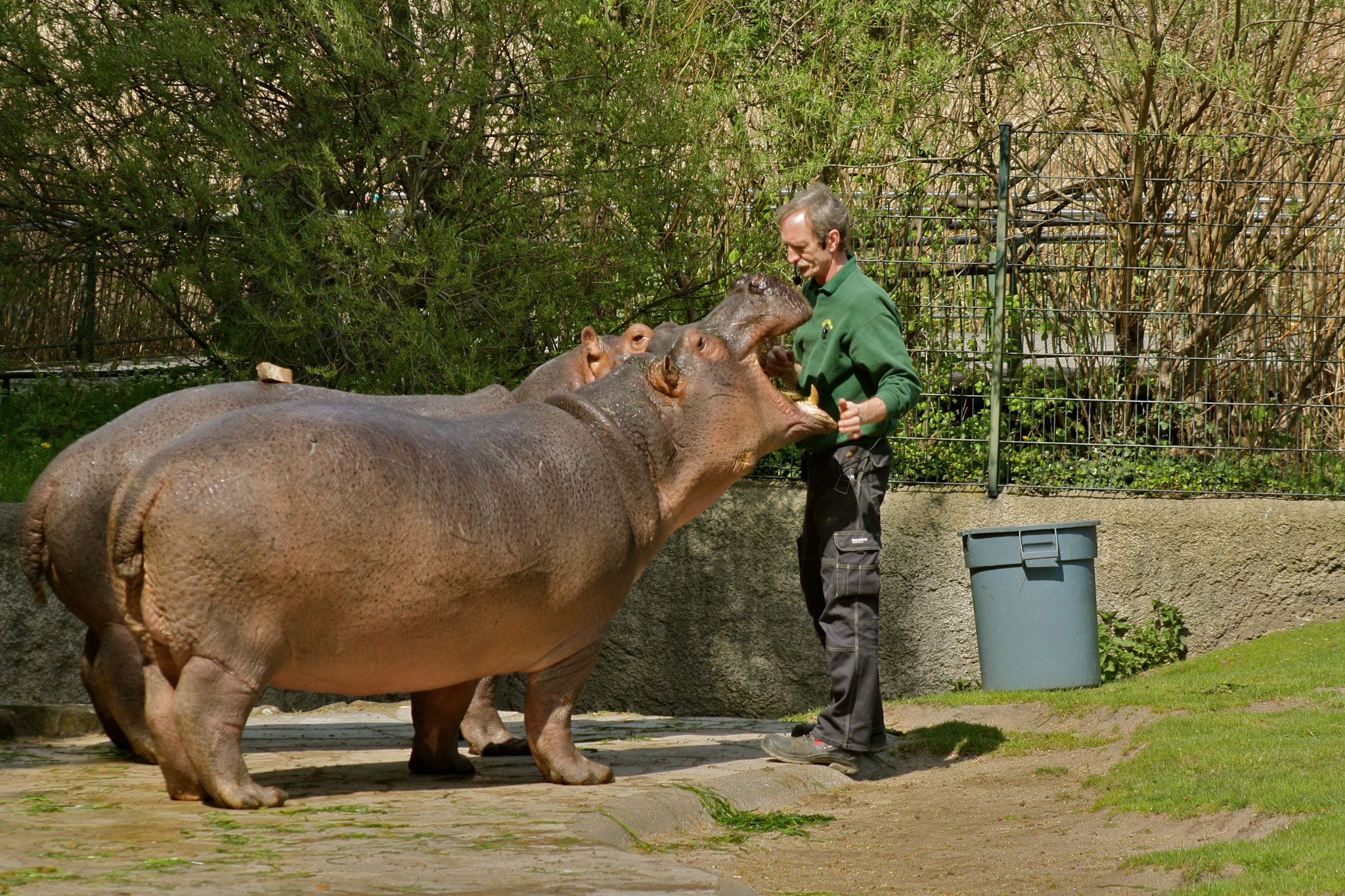 Canon EF 75-300mm f/4-5.6 USM sample photo. Zoologischer garten berlin photography