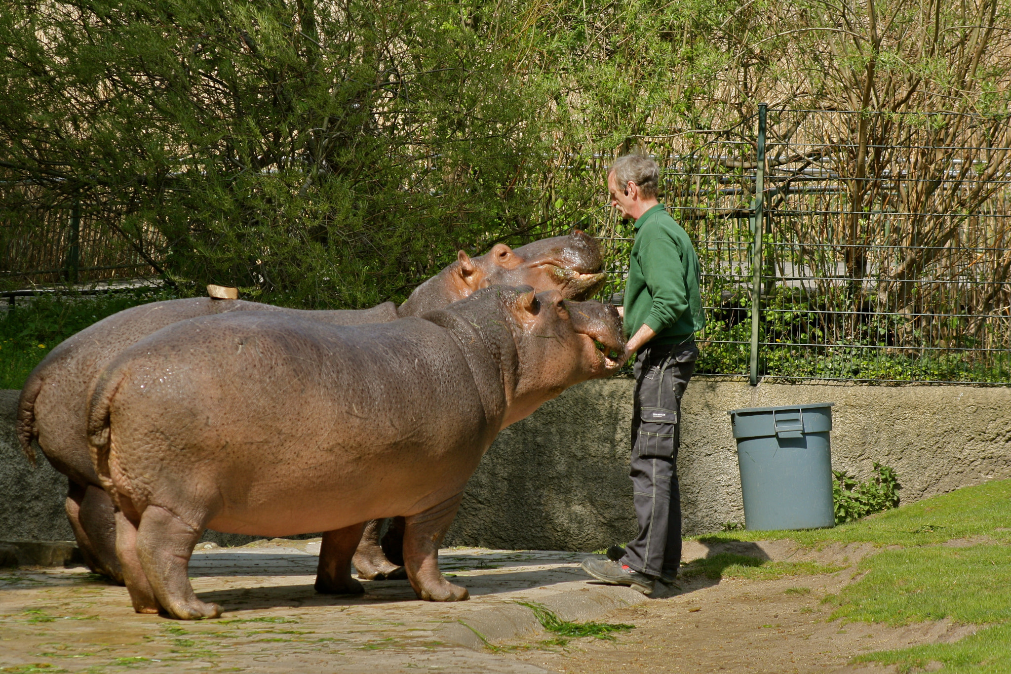 Canon EF 75-300mm f/4-5.6 USM sample photo. Zoologischer garten berlin photography