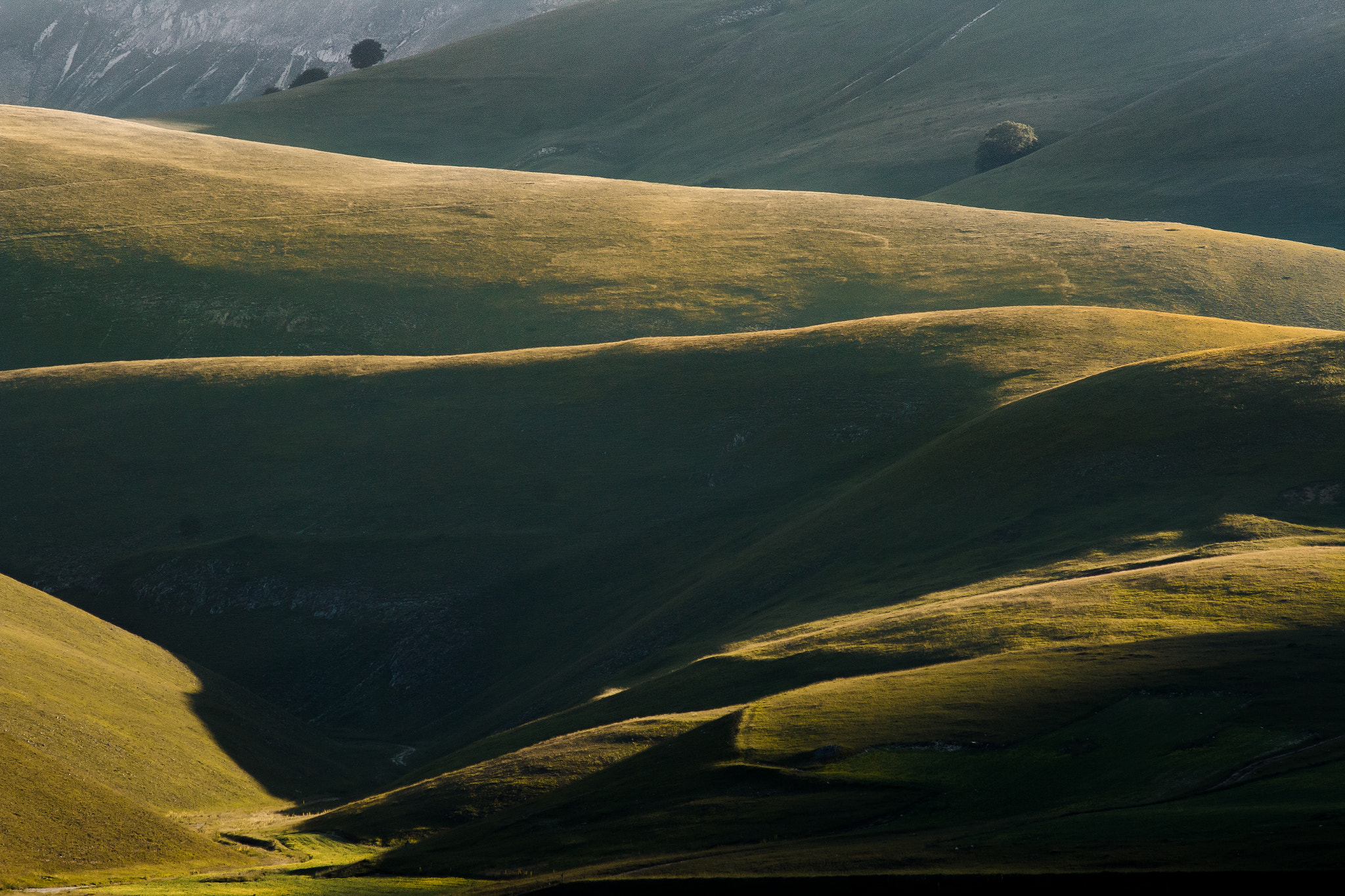 Canon EOS 70D + Canon EF 70-210mm f/4 sample photo. Shadows in umbria photography