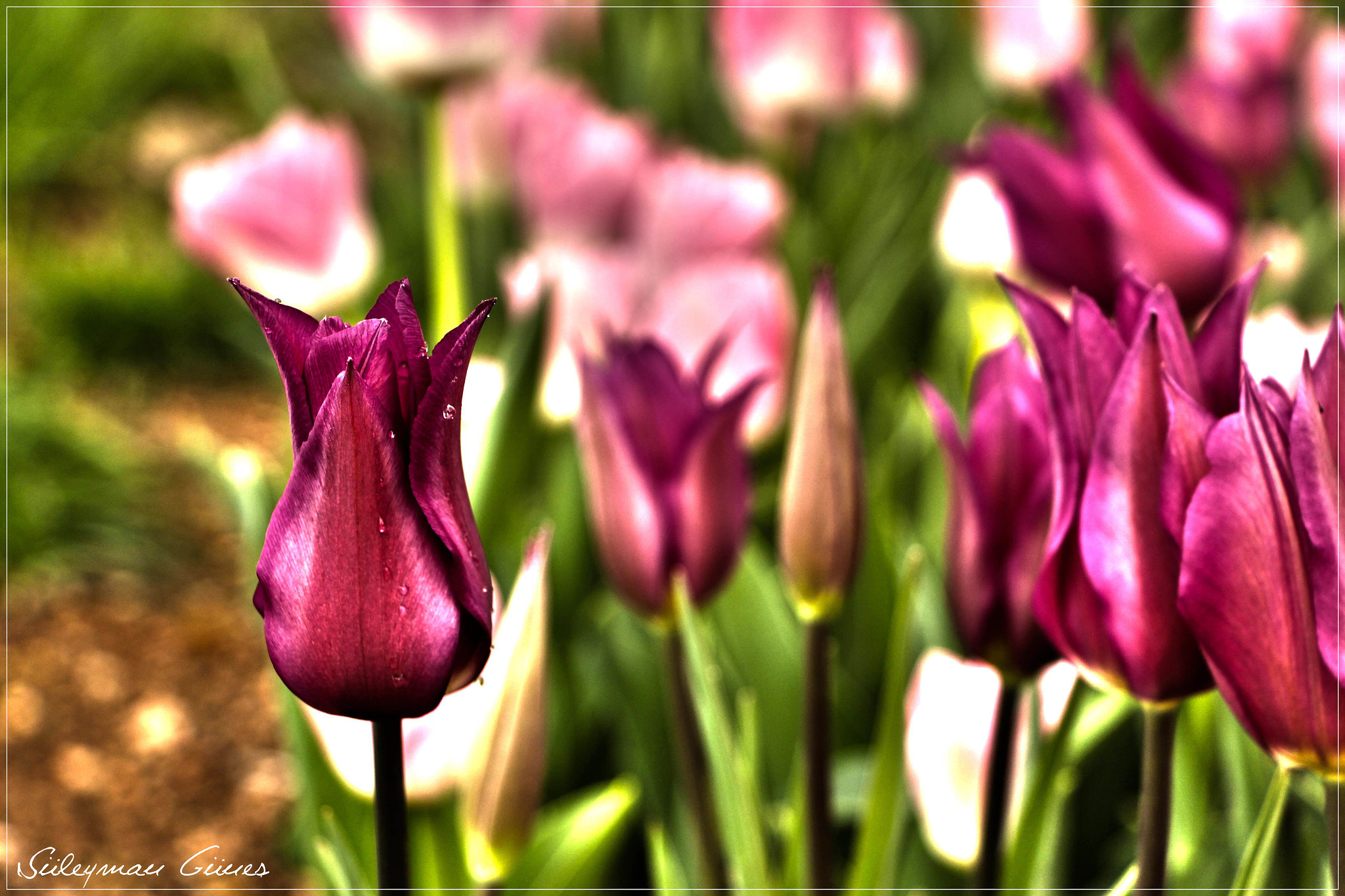 v2?sig=782949bd7039138cdb265eb97cb9eed68973b96c506869ee9d3d7449f1453774