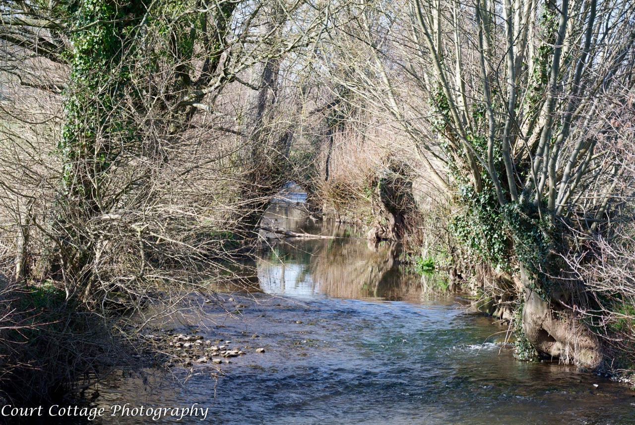 Nikon 1 Nikkor VR 30-110mm F3.8-5.6 sample photo. A view from the river dore photography