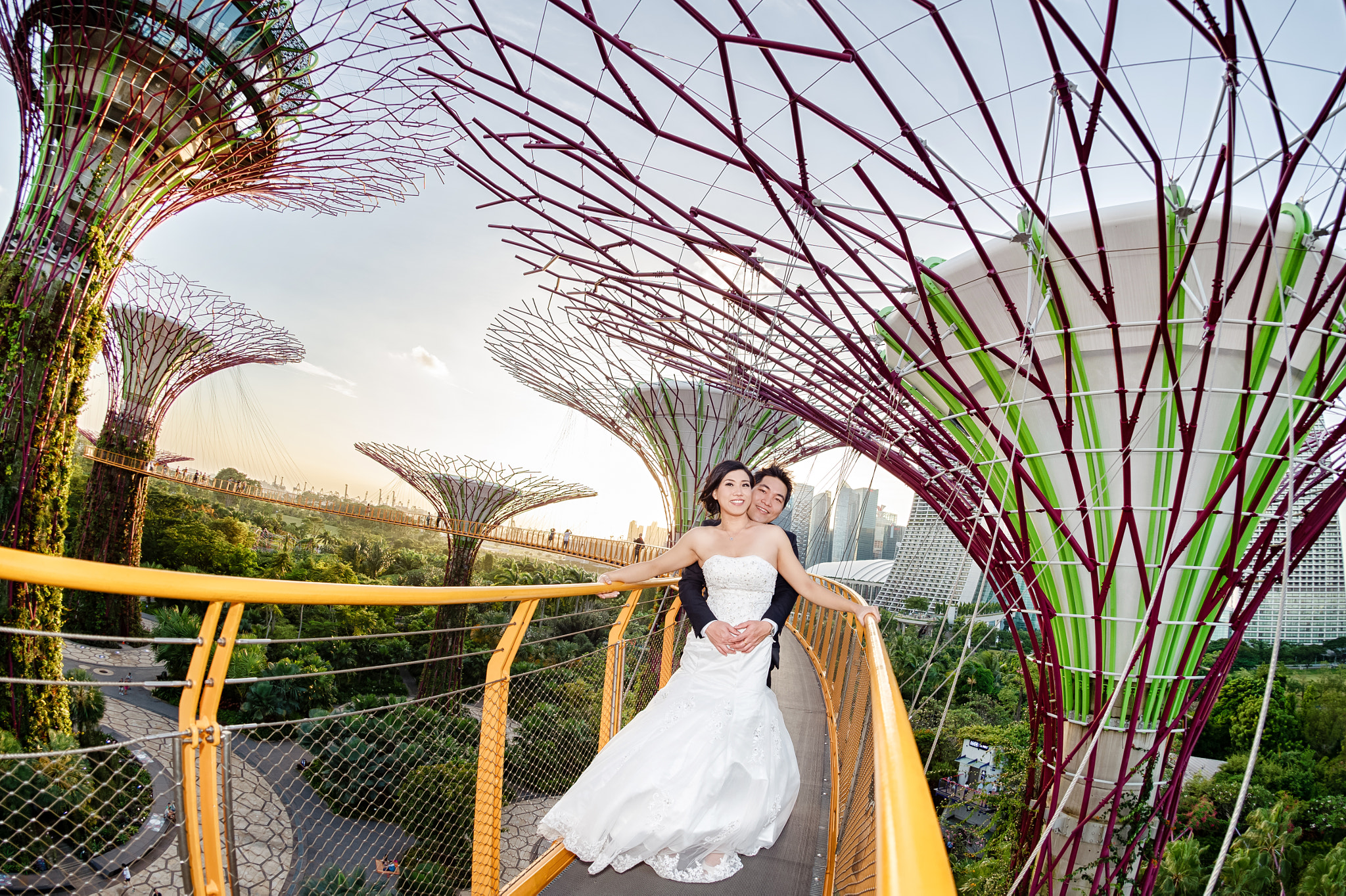 Nikon D4S + Nikon AF Fisheye-Nikkor 16mm F2.8D sample photo. Gardens by the bay photography