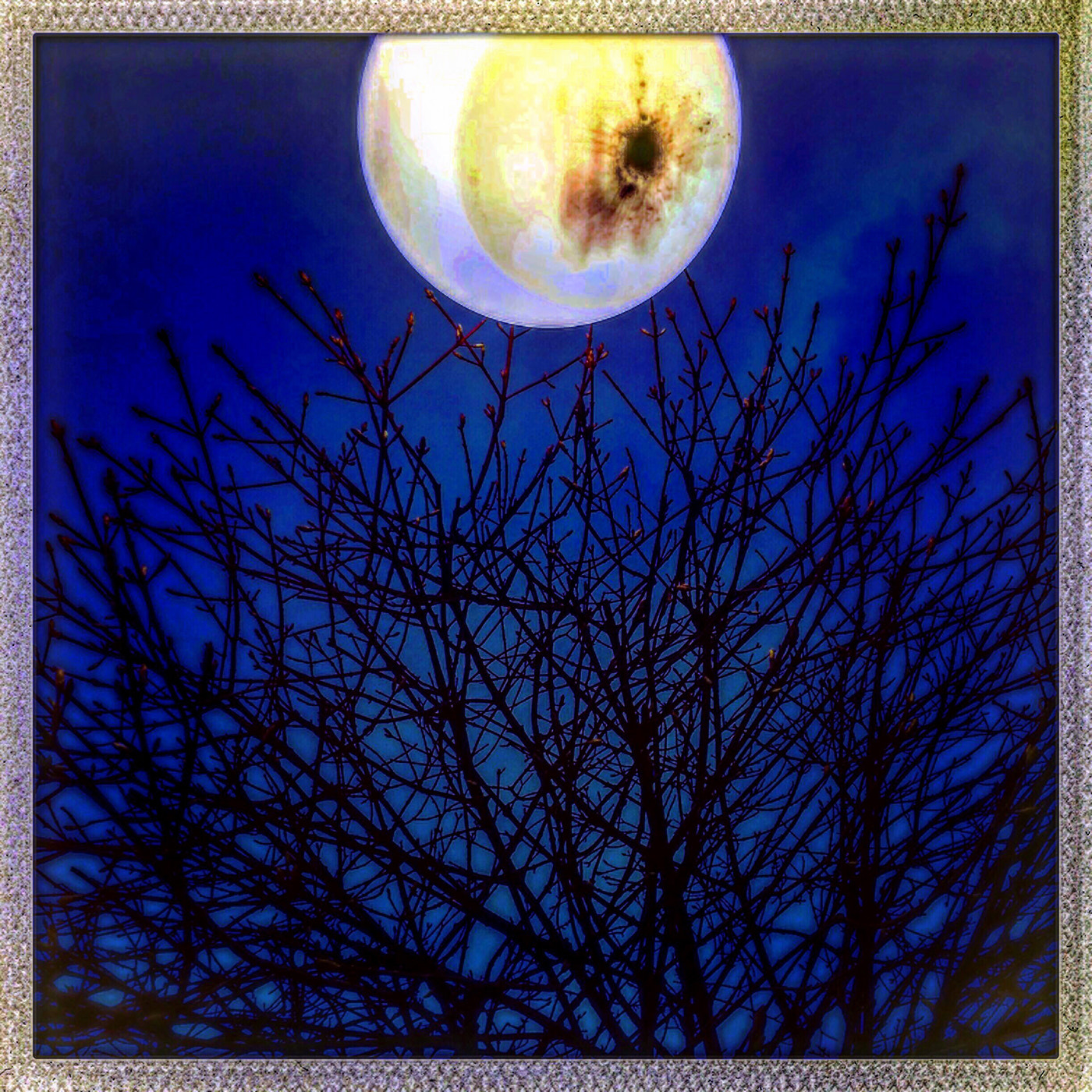 Hipstamatic 313 sample photo. Bad moon rising photography