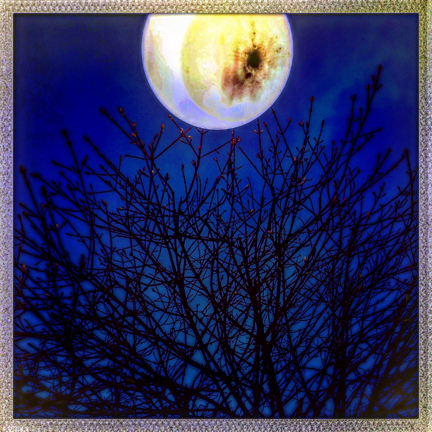 Hipstamatic 313 + iPhone 6 back camera 4.15mm f/2.2 sample photo. Bad moon rising photography