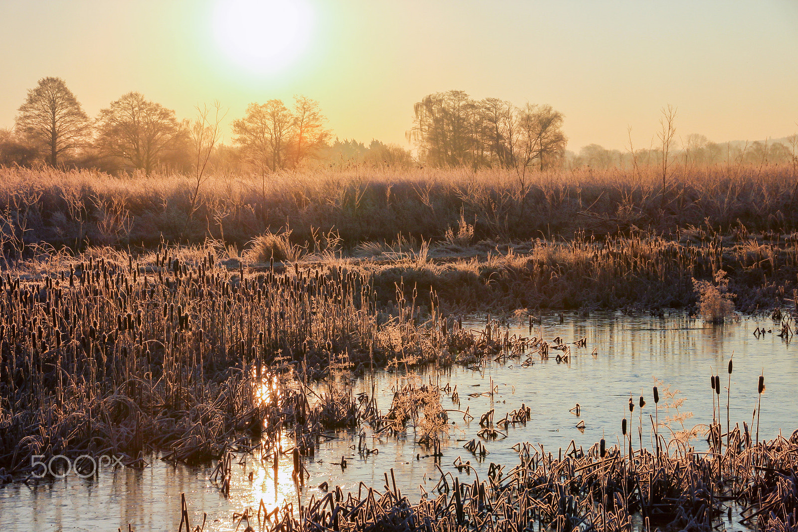 Sigma 18-250mm F3.5-6.3 DC OS HSM sample photo. Frozen on the moor photography