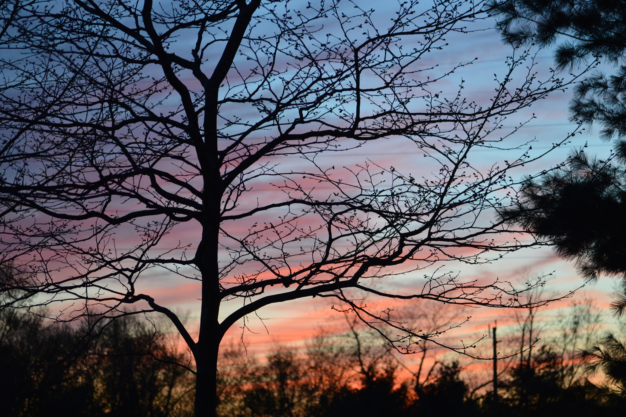 Nikon D3200 + AF Nikkor 24mm f/2.8 sample photo. Spring sunset photography