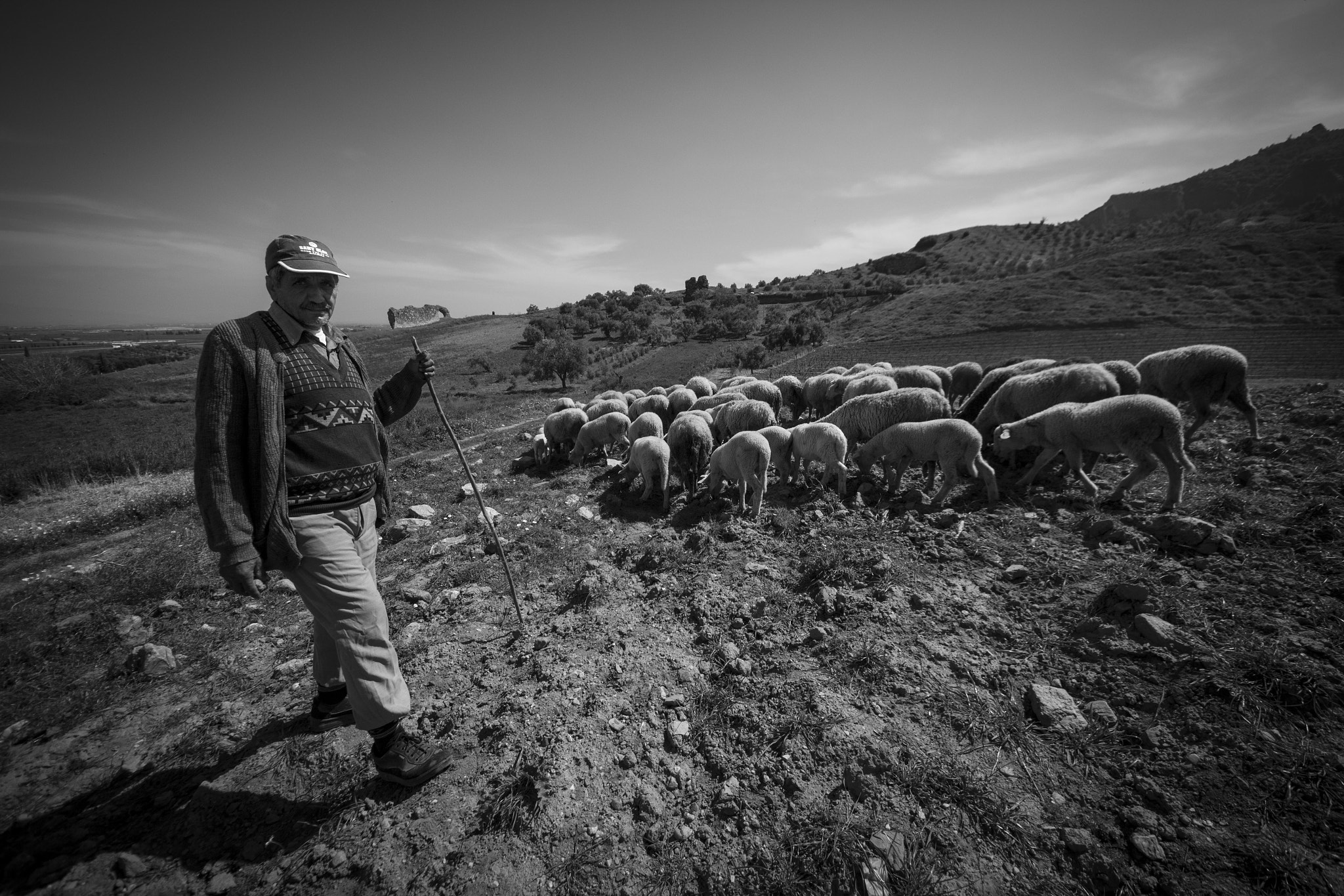 Sigma 8-16mm F4.5-5.6 DC HSM sample photo. Sardes photography