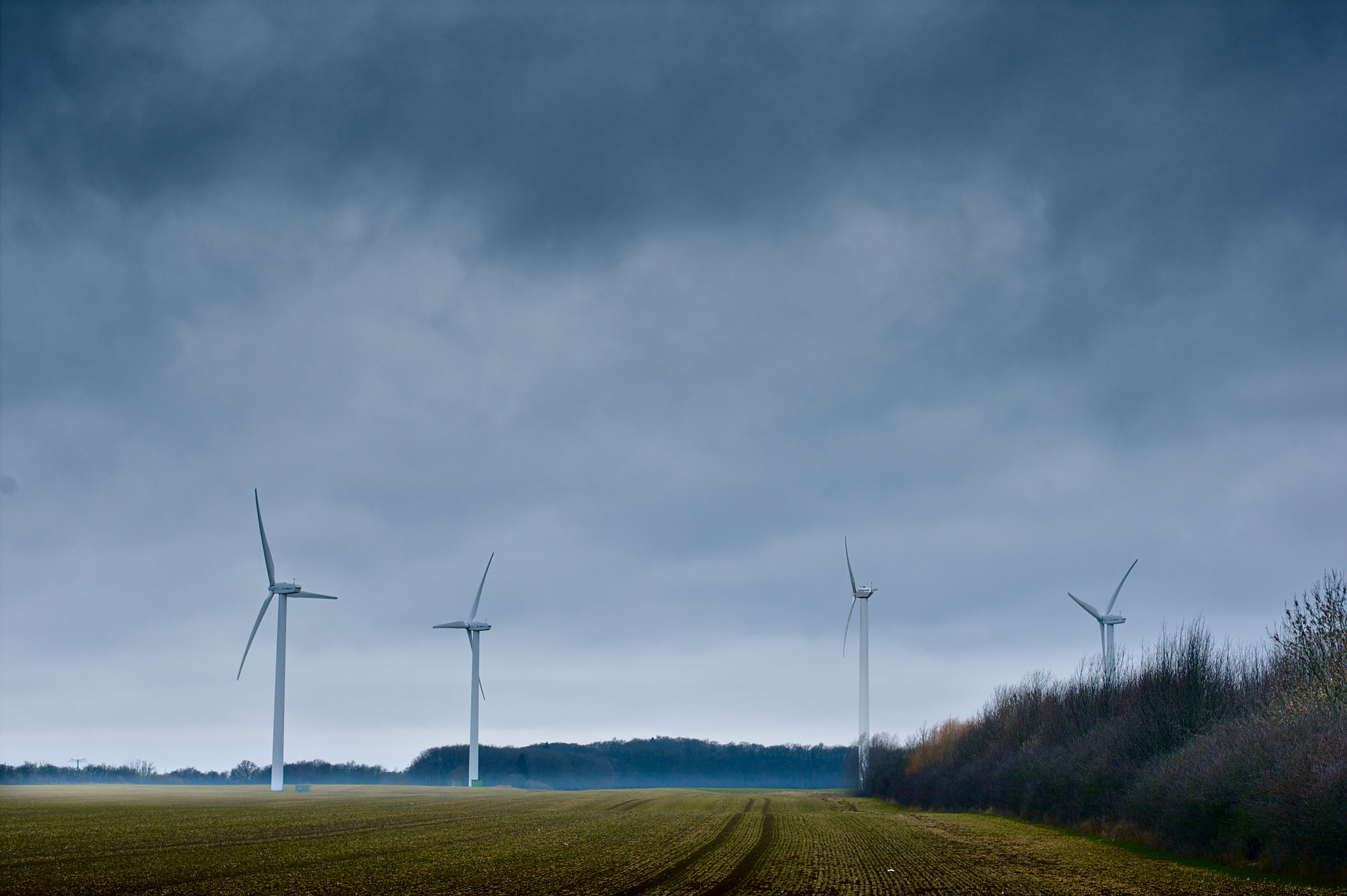 Canon EOS-1D Mark III + Canon EF 50mm F1.4 USM sample photo. Wind turbines in the mist photography