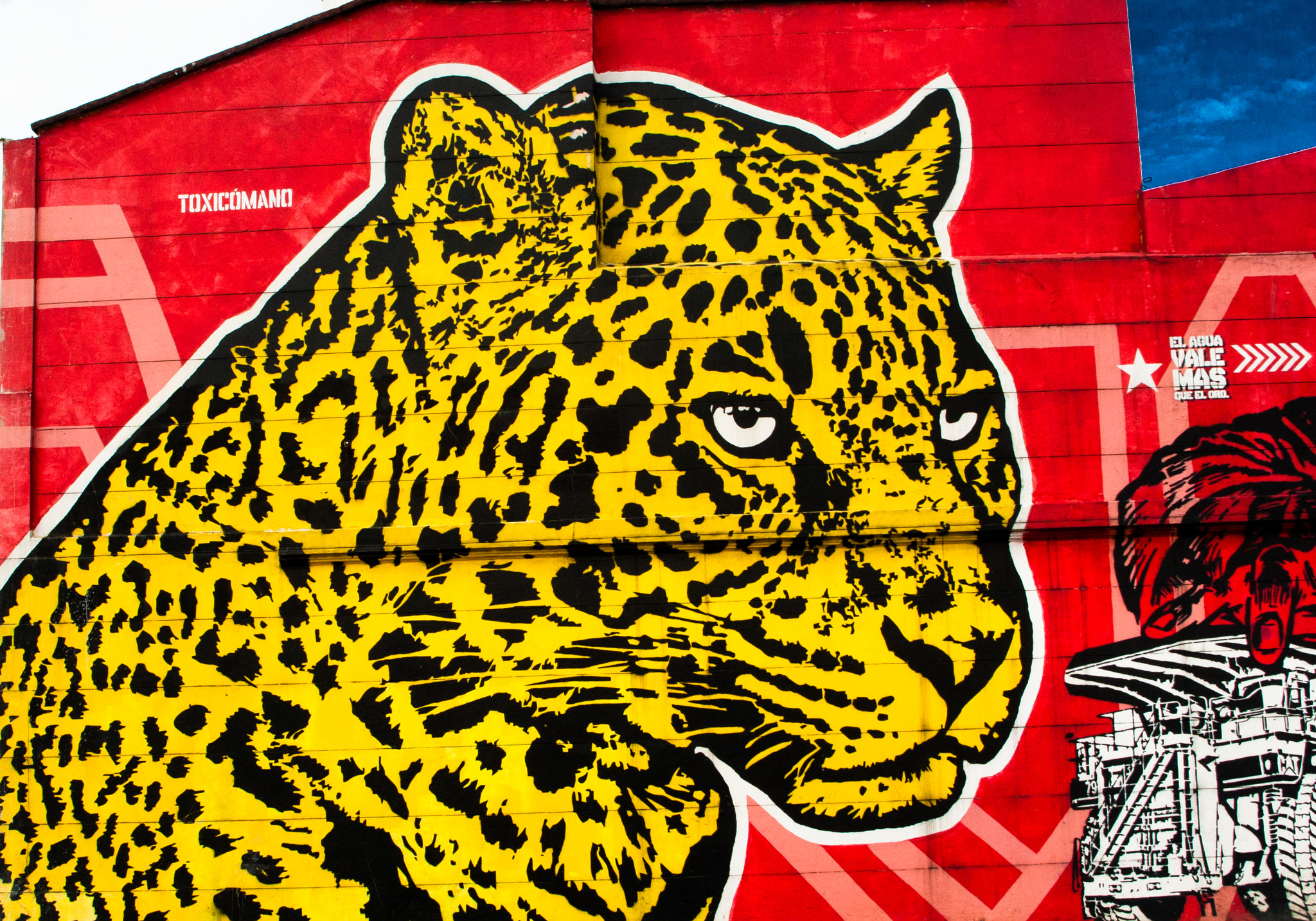 Canon EF 28-105mm f/3.5-4.5 USM sample photo. Leopard photography