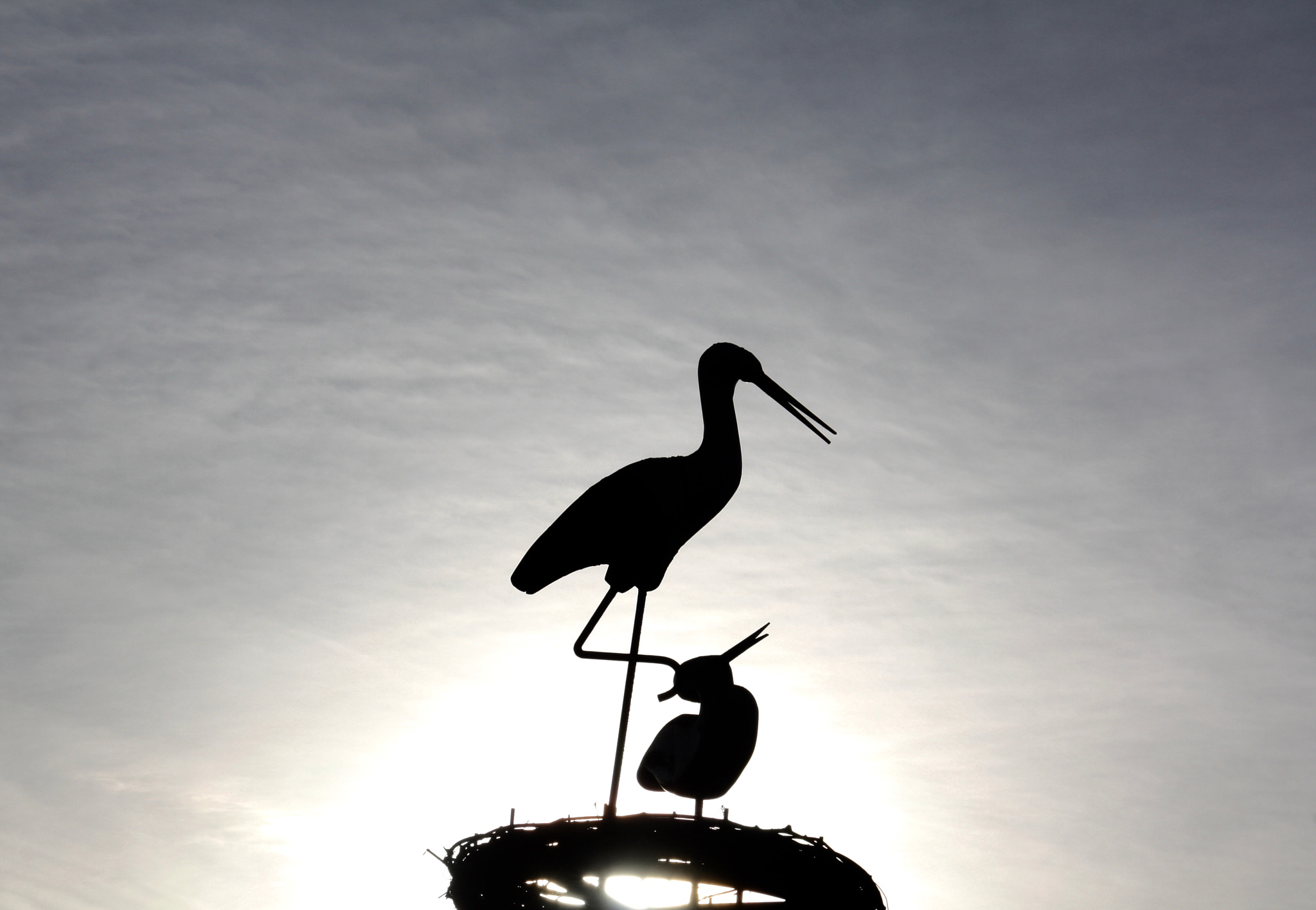 Canon EOS 450D (EOS Rebel XSi / EOS Kiss X2) + Sigma 18-125mm F3.8-5.6 DC OS HSM sample photo. Storks statue photography