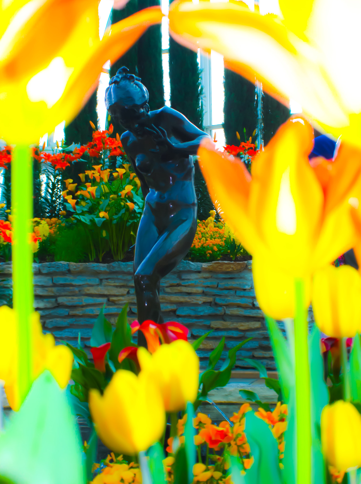 Canon EF-S 18-55mm F3.5-5.6 sample photo. This was taken at the como park conservatory during their tulip expo. photography