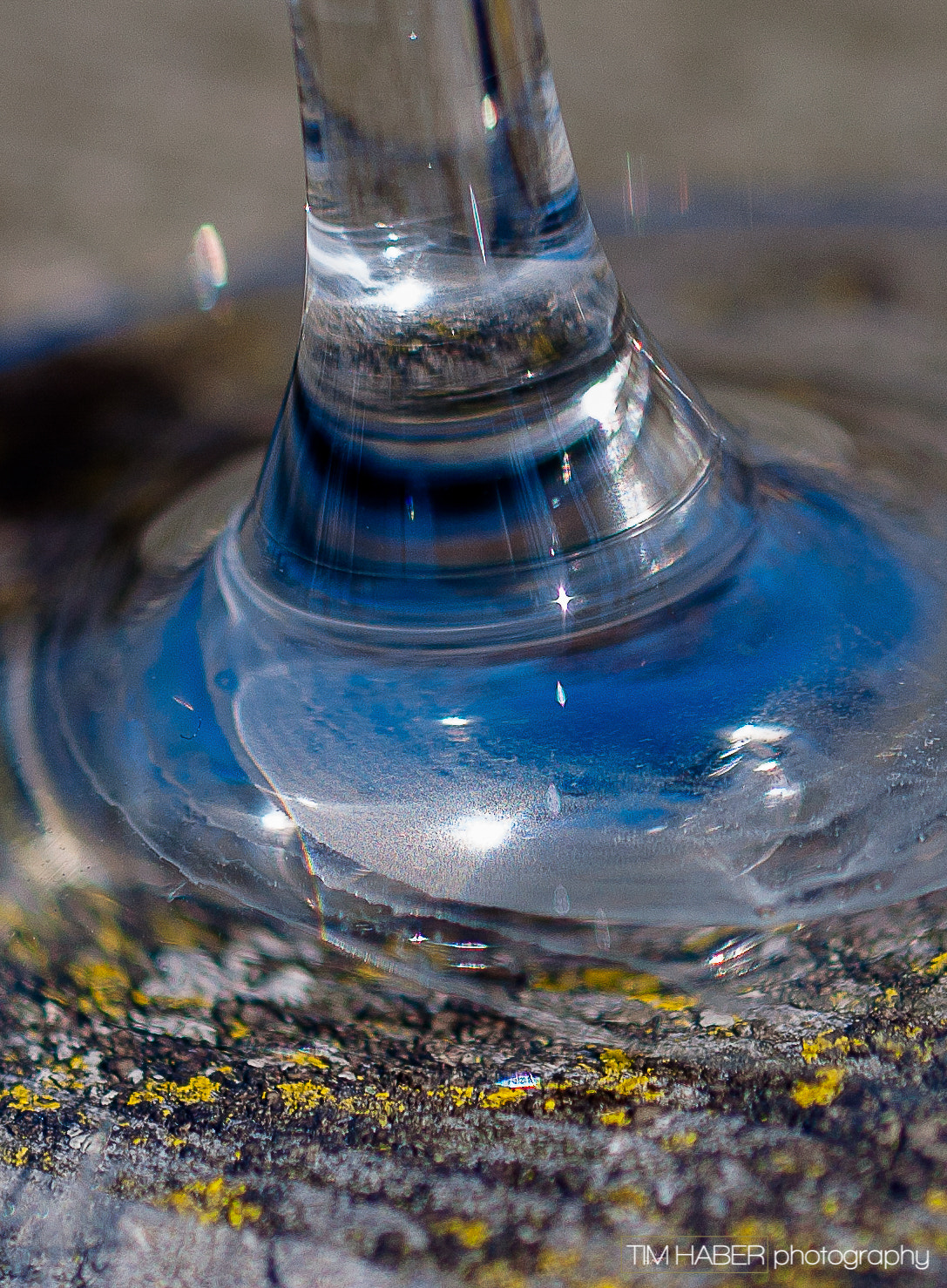 Sigma 105mm F2.8 EX DG OS HSM sample photo. Colorful at the foot photography