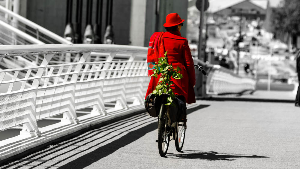 Canon EOS-1D Mark II sample photo. Red !! miss red ... photography